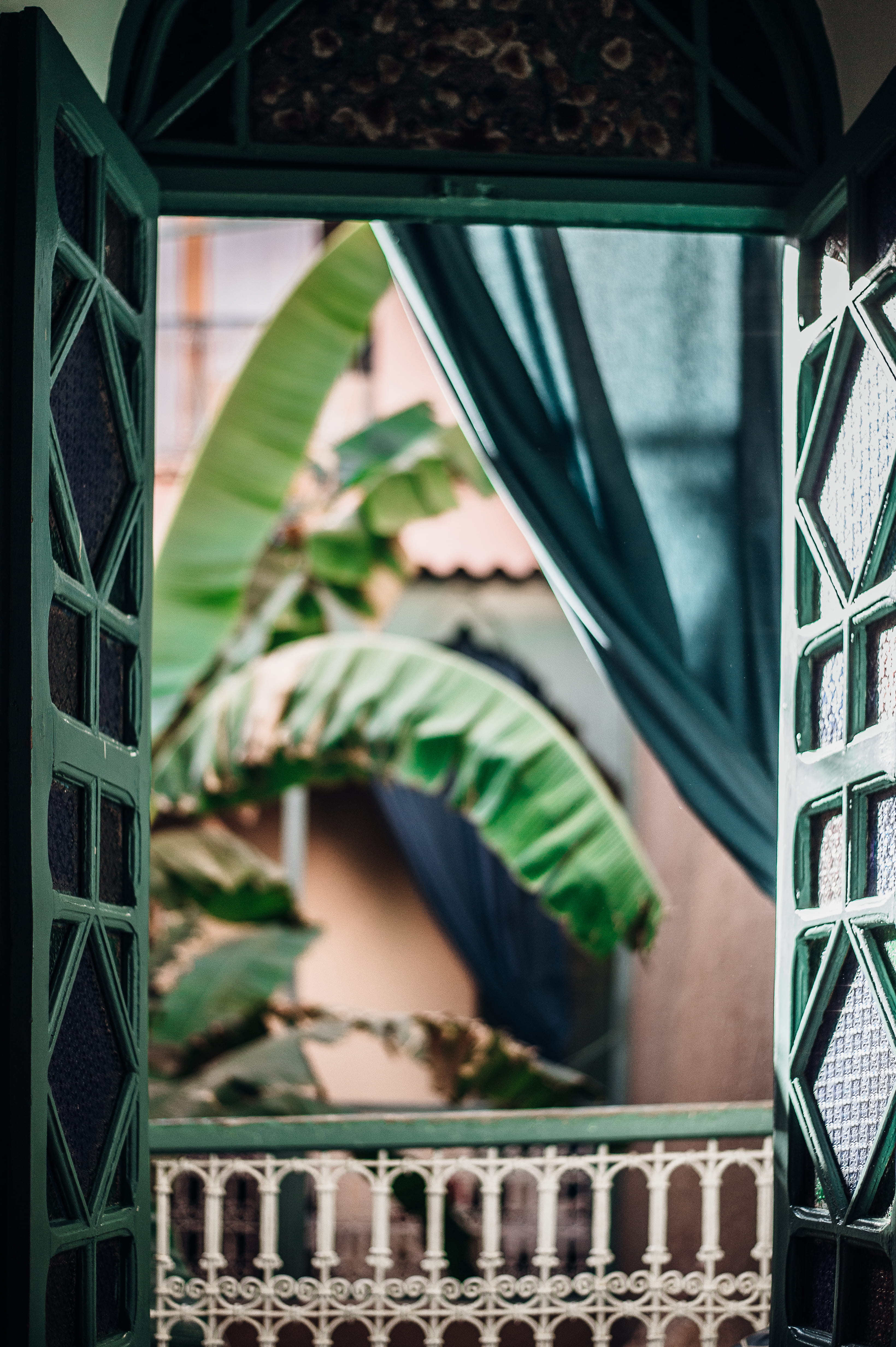 4K, plant part, day, plant, entrance, wrought iron, dar, chicha, wooden, building exterior, architecture, glass - material, marrakesh, window, riad, leaf, Phone HD Wallpaper