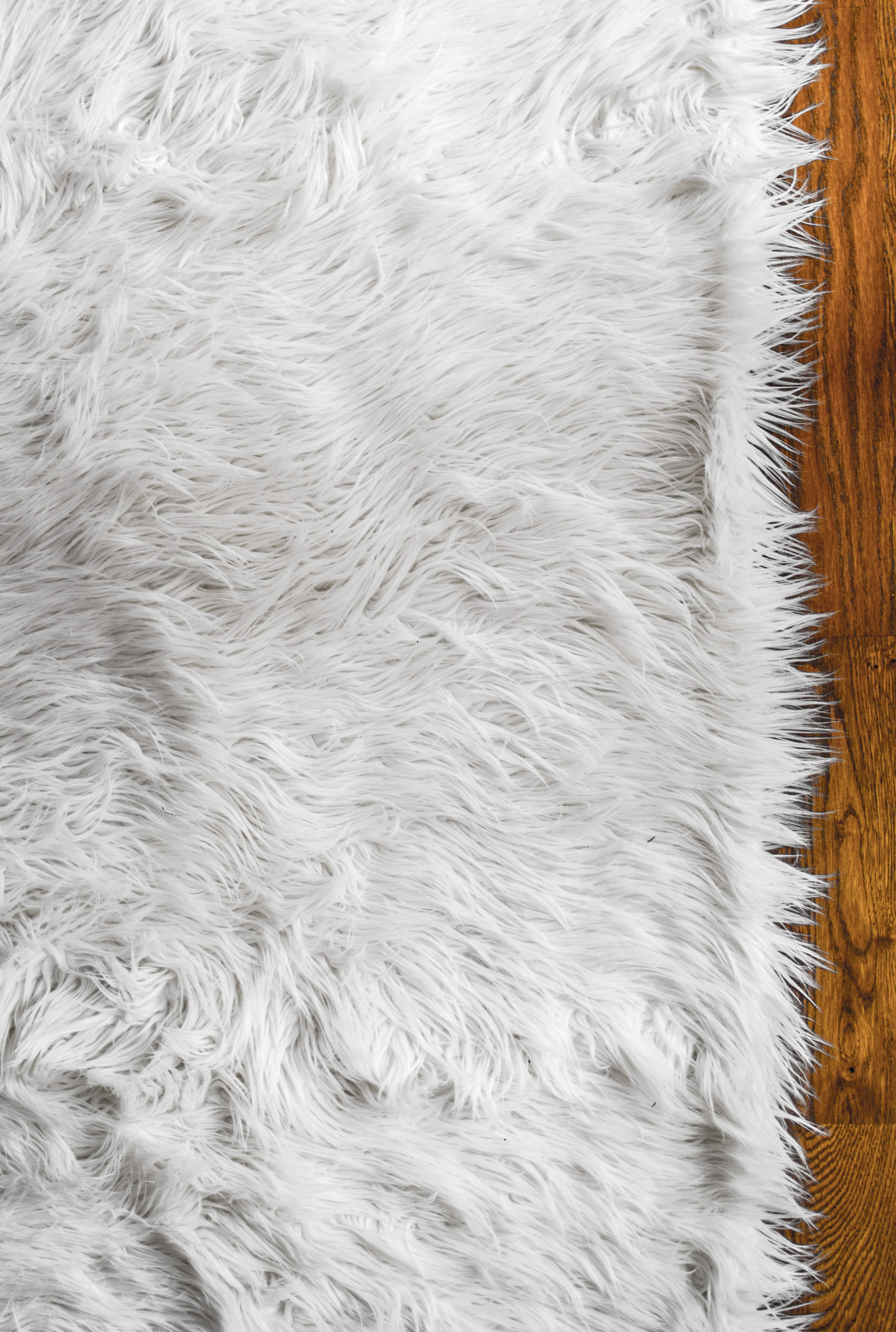 flora, grey, day, domestic, animal body part, plant, vertebrate, animal, blanket, softness, animal themes, hair, grass, mammal, one animal, white, fur, Phone HD Wallpaper