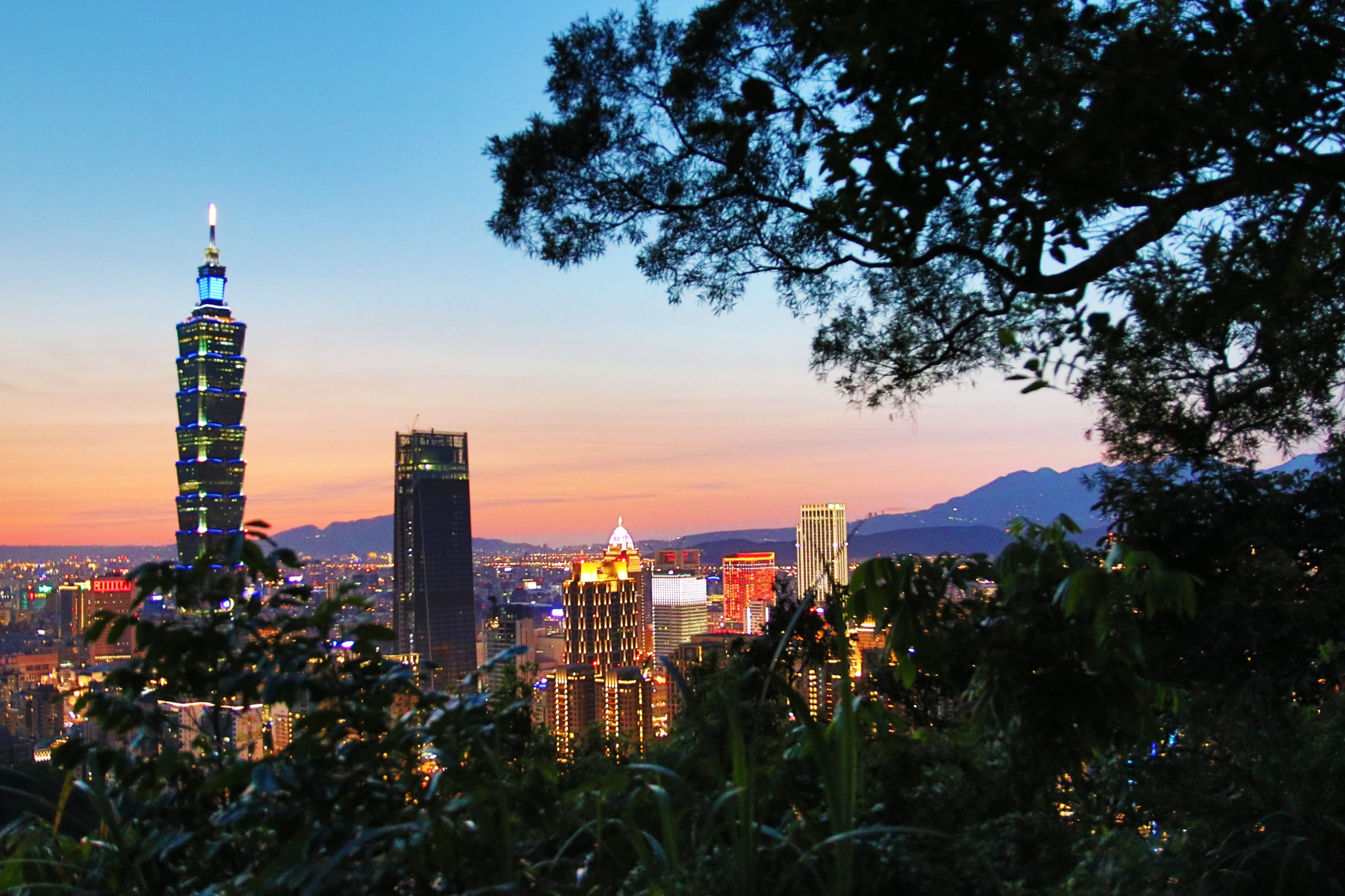 built structure, 2K, plant, sky, elephant, financial district, office building exterior, city, modern, mountain, building, sunset, spire, skyscraper, taipei, HD Wallpaper