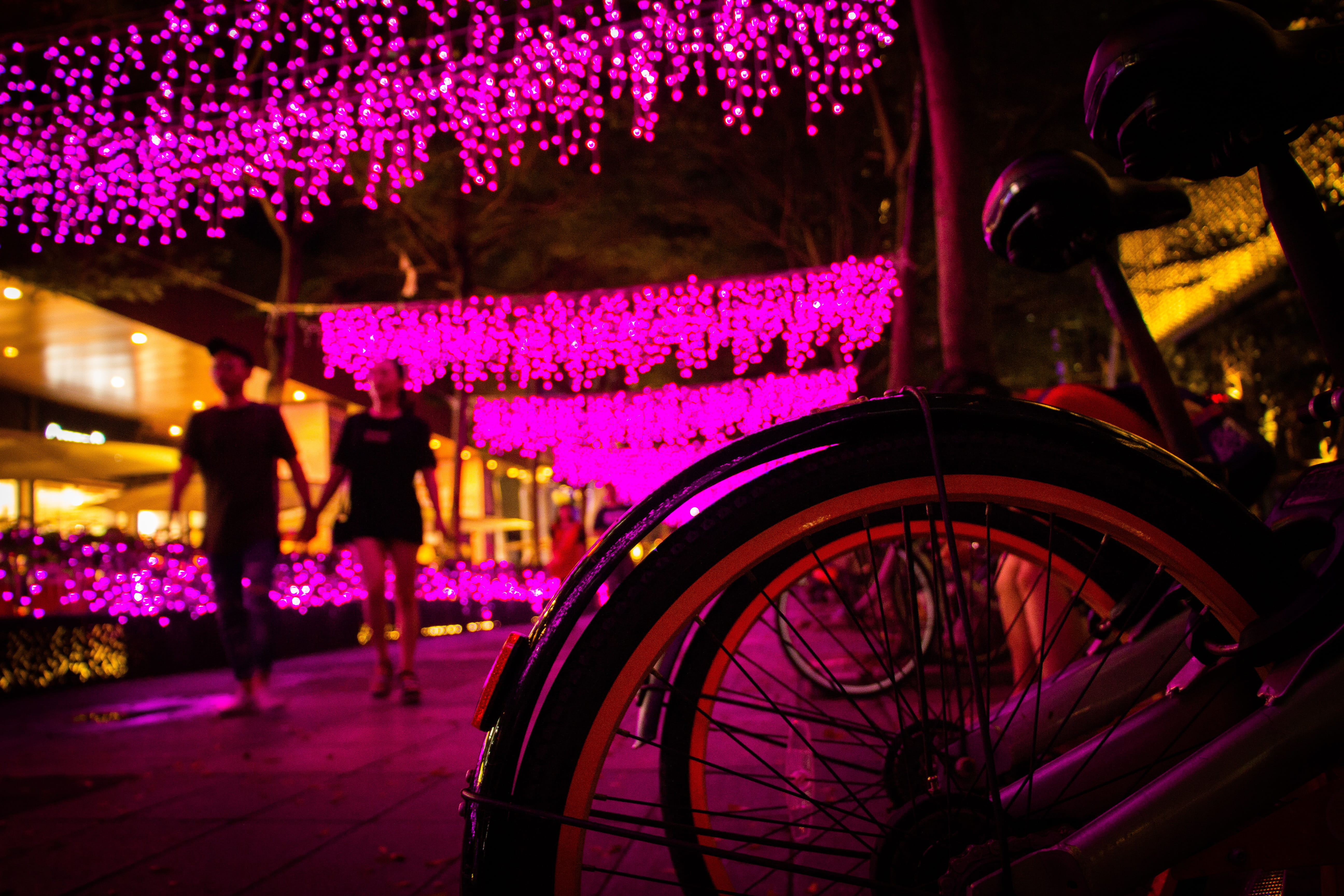 adult, celebration, casual, bicycle, incidental people, standing, arts culture and entertainment, transportation, city, taipei, travel, light, taiwan, flower, HD Wallpaper