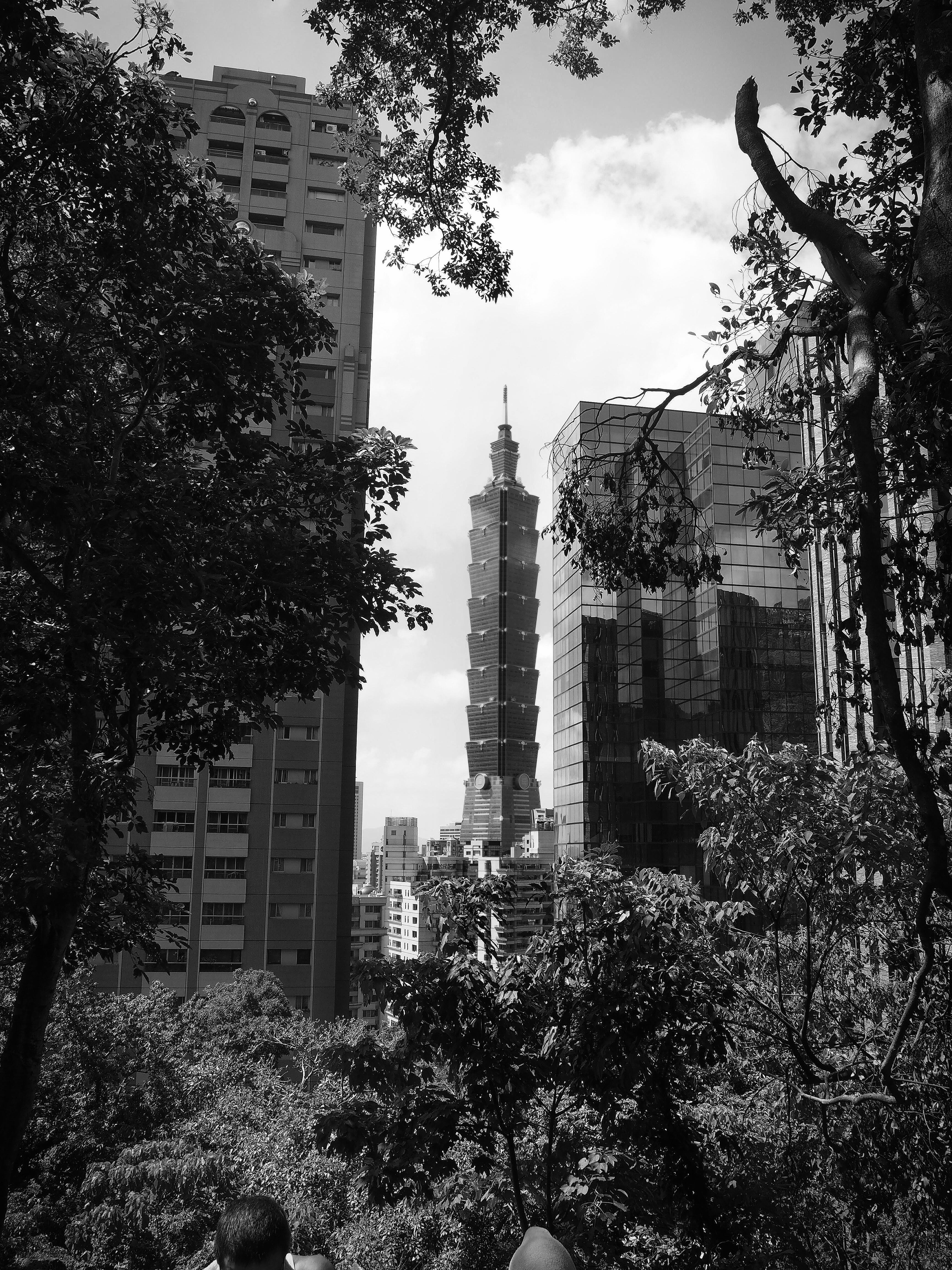 4K, plant, cloud - sky, centre, bnw, building, skyscraper, taipei 101, tower, taiwan, spire, mirror, nature, sky, center, city life, built structure, day, Phone HD Wallpaper