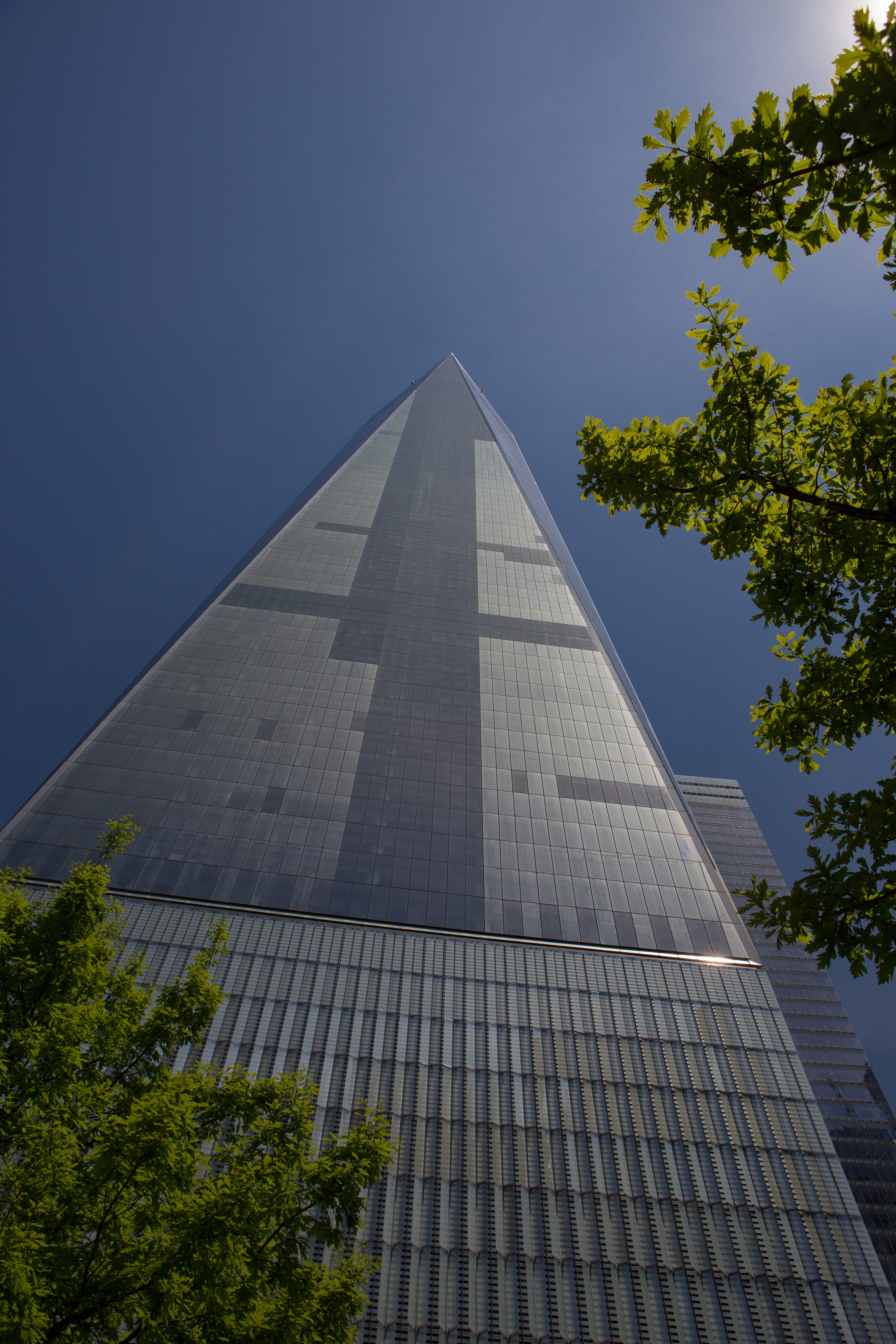 tree, travel, united states, tall - high, sky, nature, low angle view, built structure, travel destinations, sunlight, one wtc, city, new york, plant, outdoors, Phone HD Wallpaper