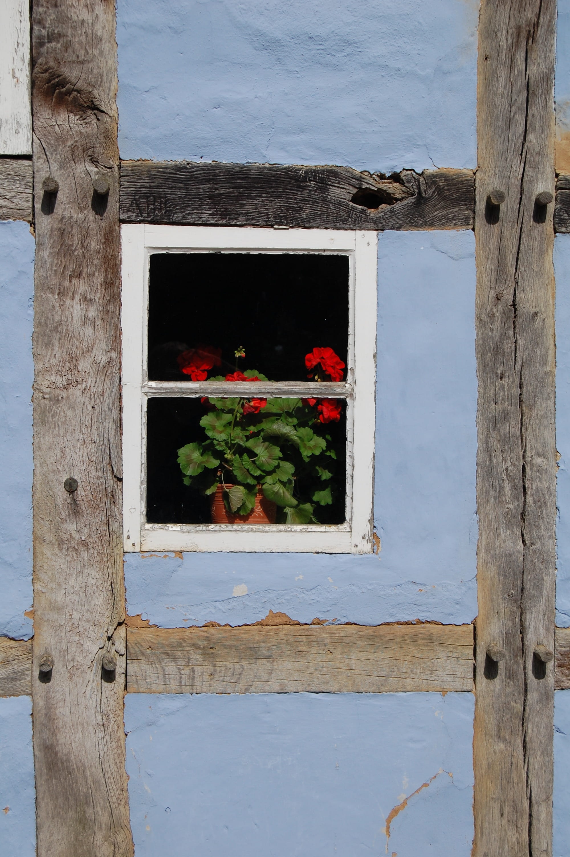 wall - building feature, historically, potted plant, glass - material, Facade, truss, building exterior, wood - material, home, nature, plant, Building, Phone HD Wallpaper