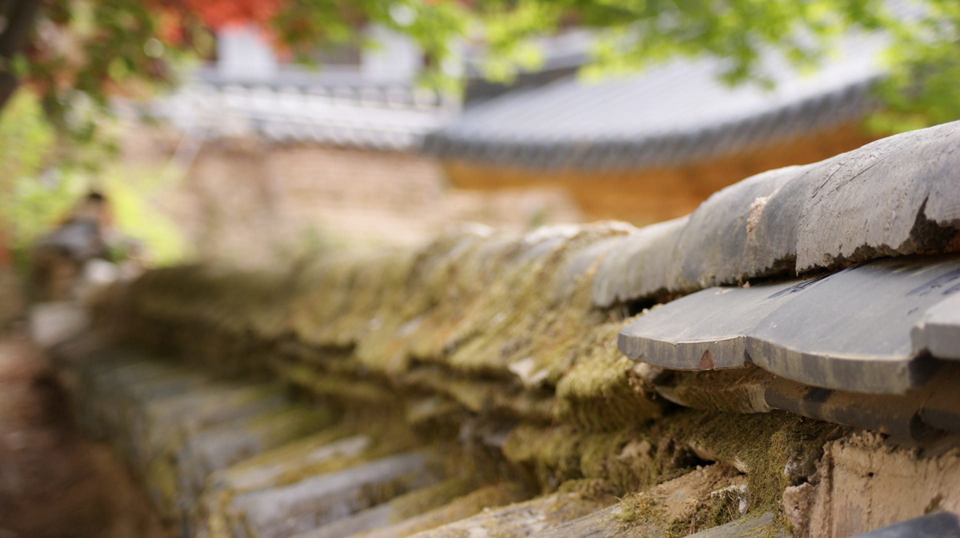 enlightenment, architecture, beauty in nature, water, timber, close-up, roof, built structure, log, plant, republic of korea, static, outdoors, year greetings, HD Wallpaper