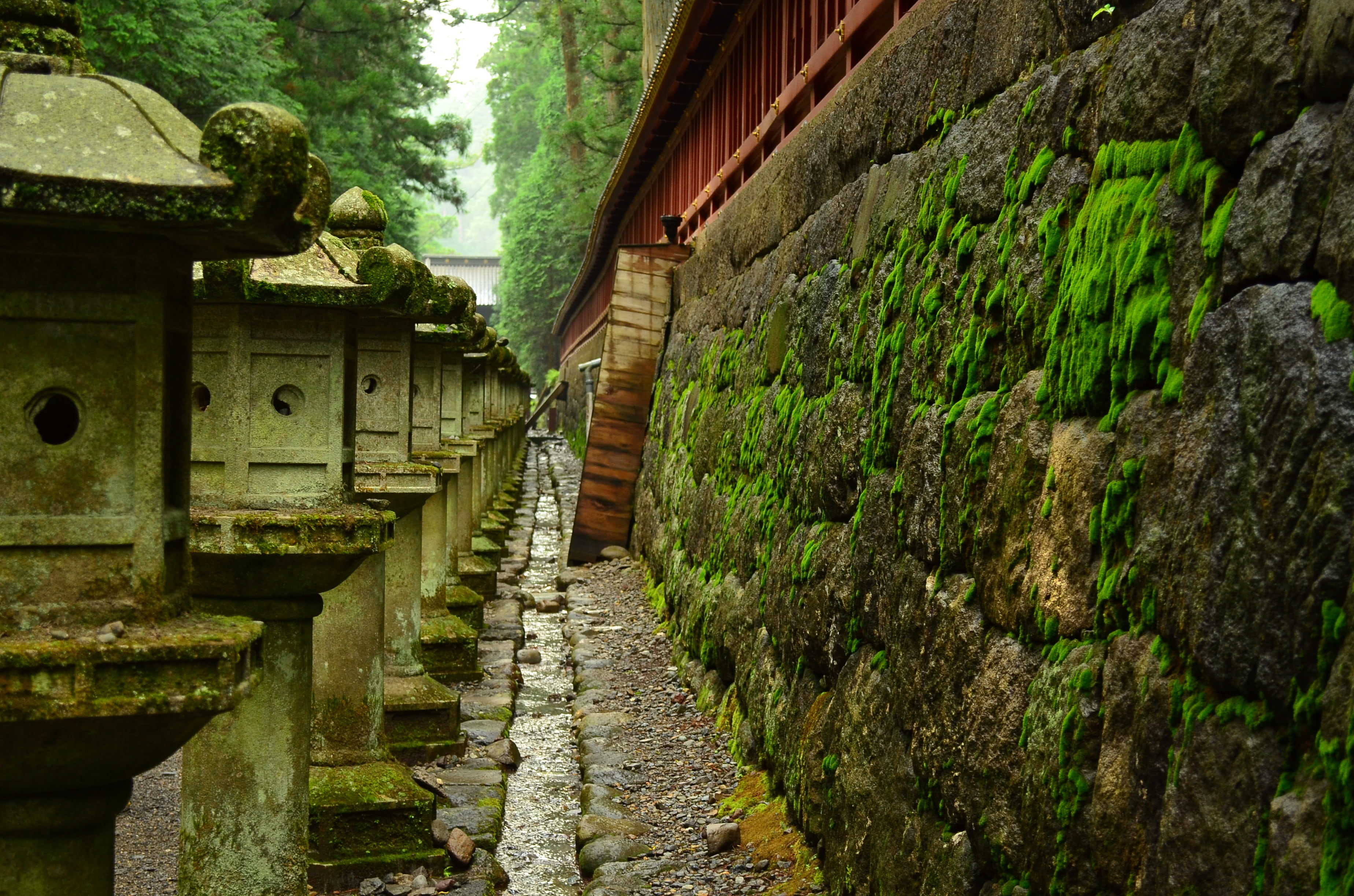 the way forward, solid, green color, old, stone lanterns, 2K, no people, day, plant, direction, built structure, staircase, wall, nature, sunlight, footpath, HD Wallpaper