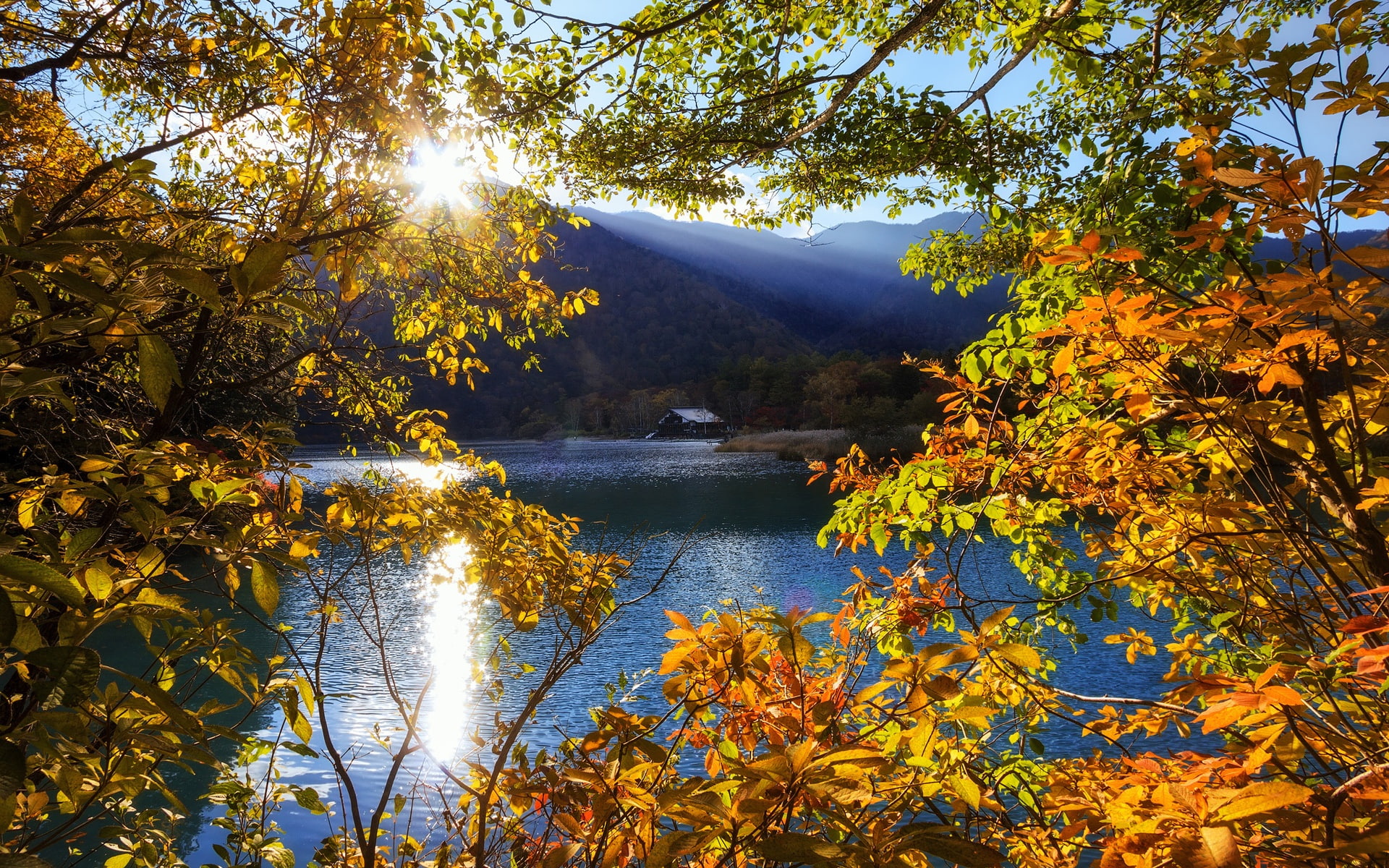 Trees, tochigi, 1080P, Autumn, Japan, Sun, nikko, Rays, Mountain, Lake, HD Wallpaper