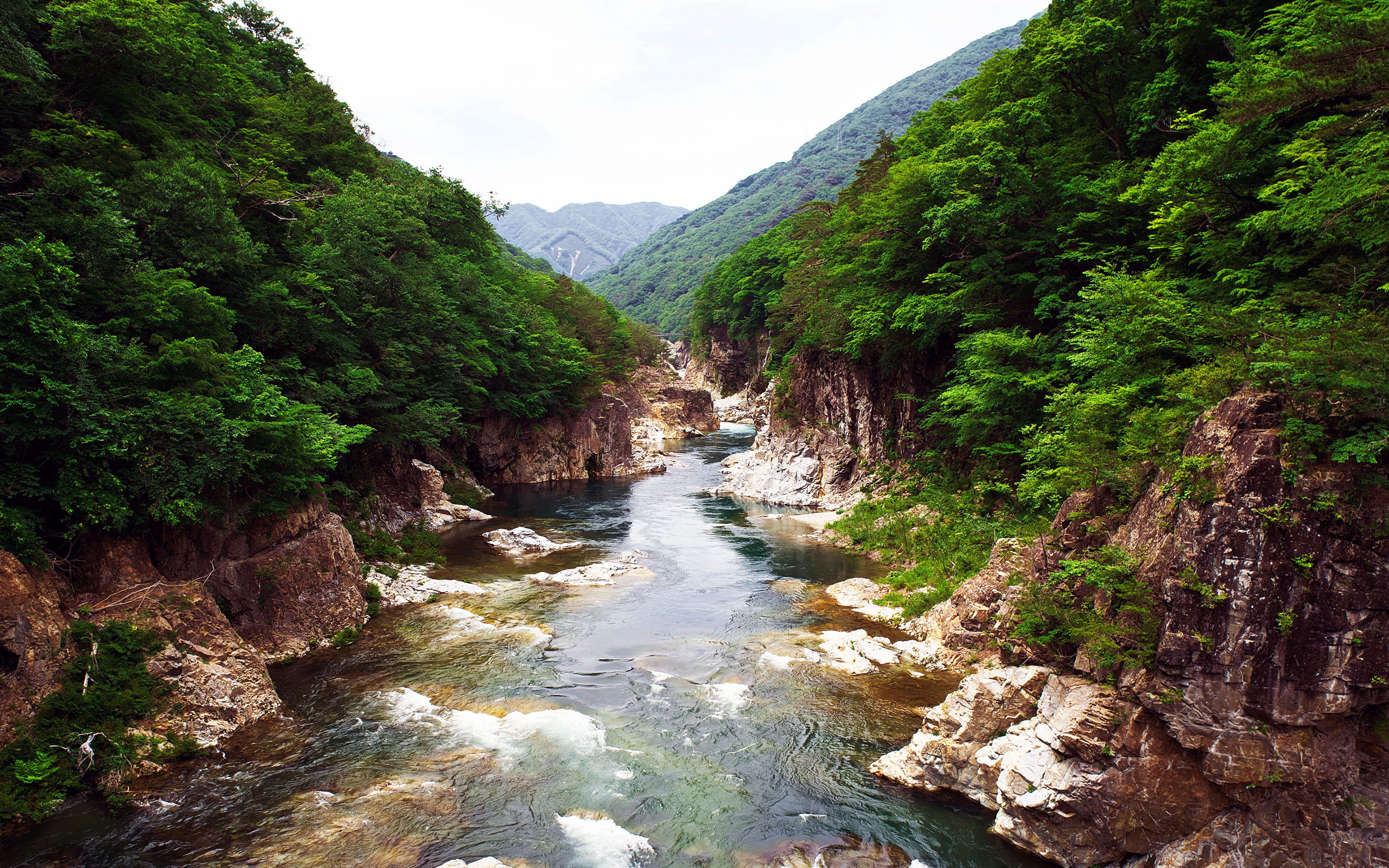 plant, idyllic, river, rock - object, rock, park, 4K, outdoors, day, scenics - nature, water, mountain range, non-urban scene, green, rivers, national, HD Wallpaper