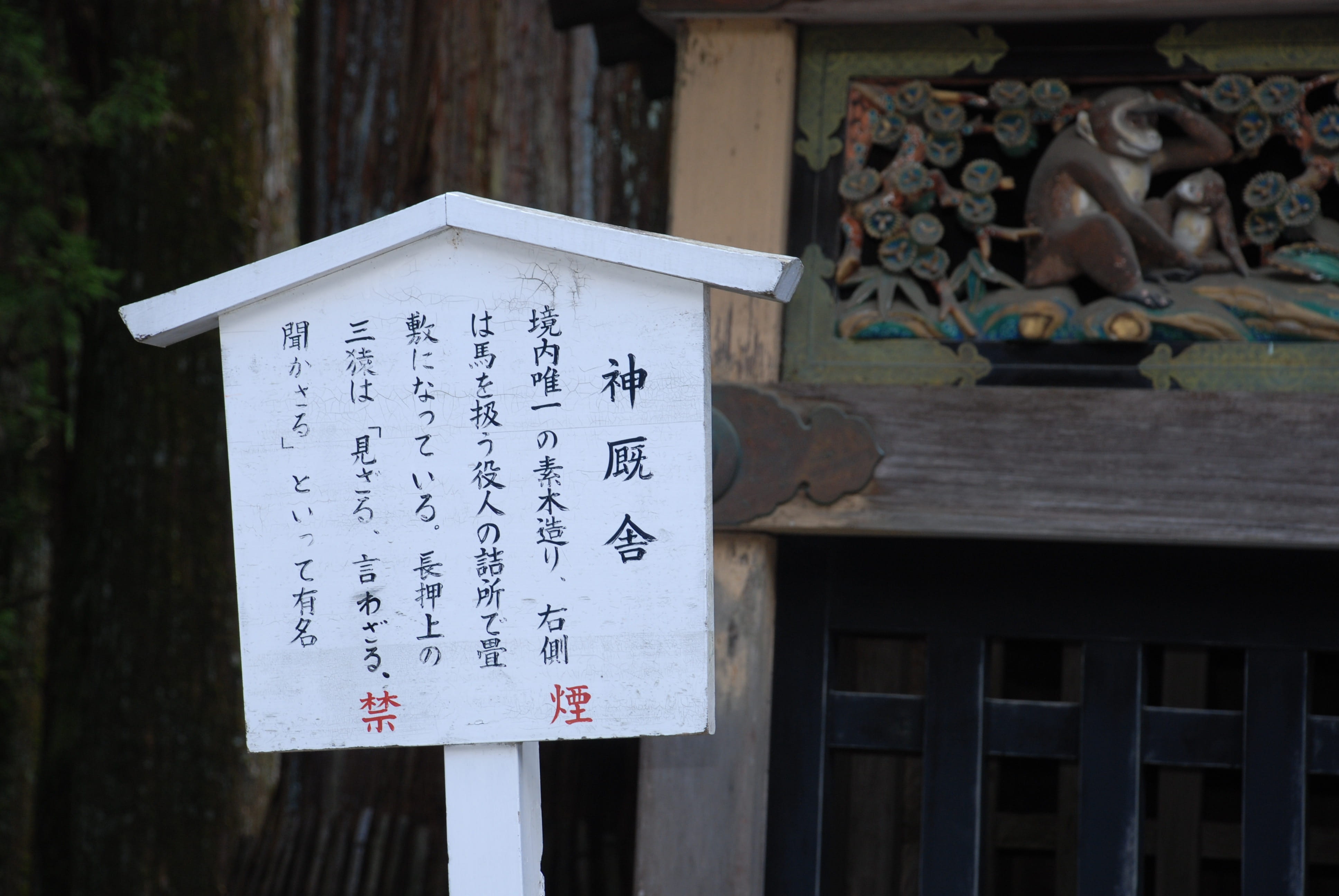 day, shrine, building, signpost, communication, outdoors, paper, non-western script, 4K, japan, built structure, message, script, wood - material, focus on foreground, HD Wallpaper