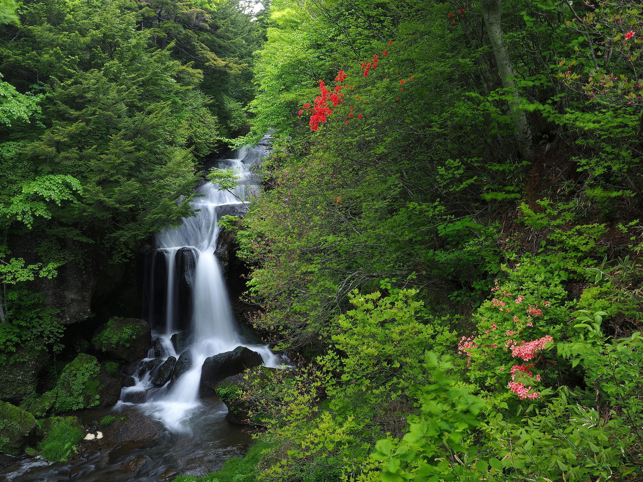 Nikko National Park, Honshu, cascade, 1080P, Japan, forest, National Park Nikko, waterfall, HD Wallpaper