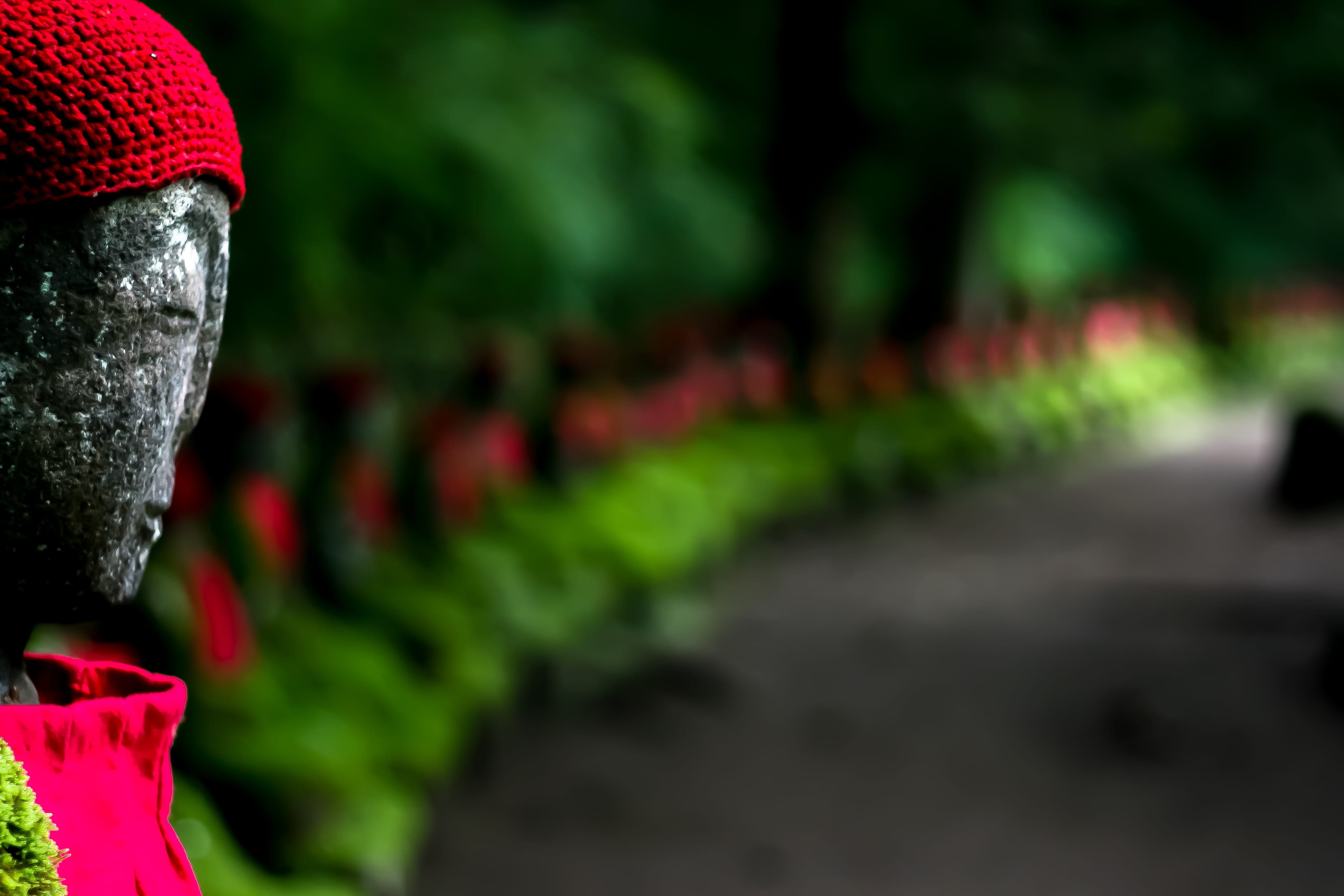 real people, buddhist, nikko, selective focus, plant, focus on foreground, abundance, clothing, shrine, green, red, in a row, 4K, temple, japan, nature, HD Wallpaper