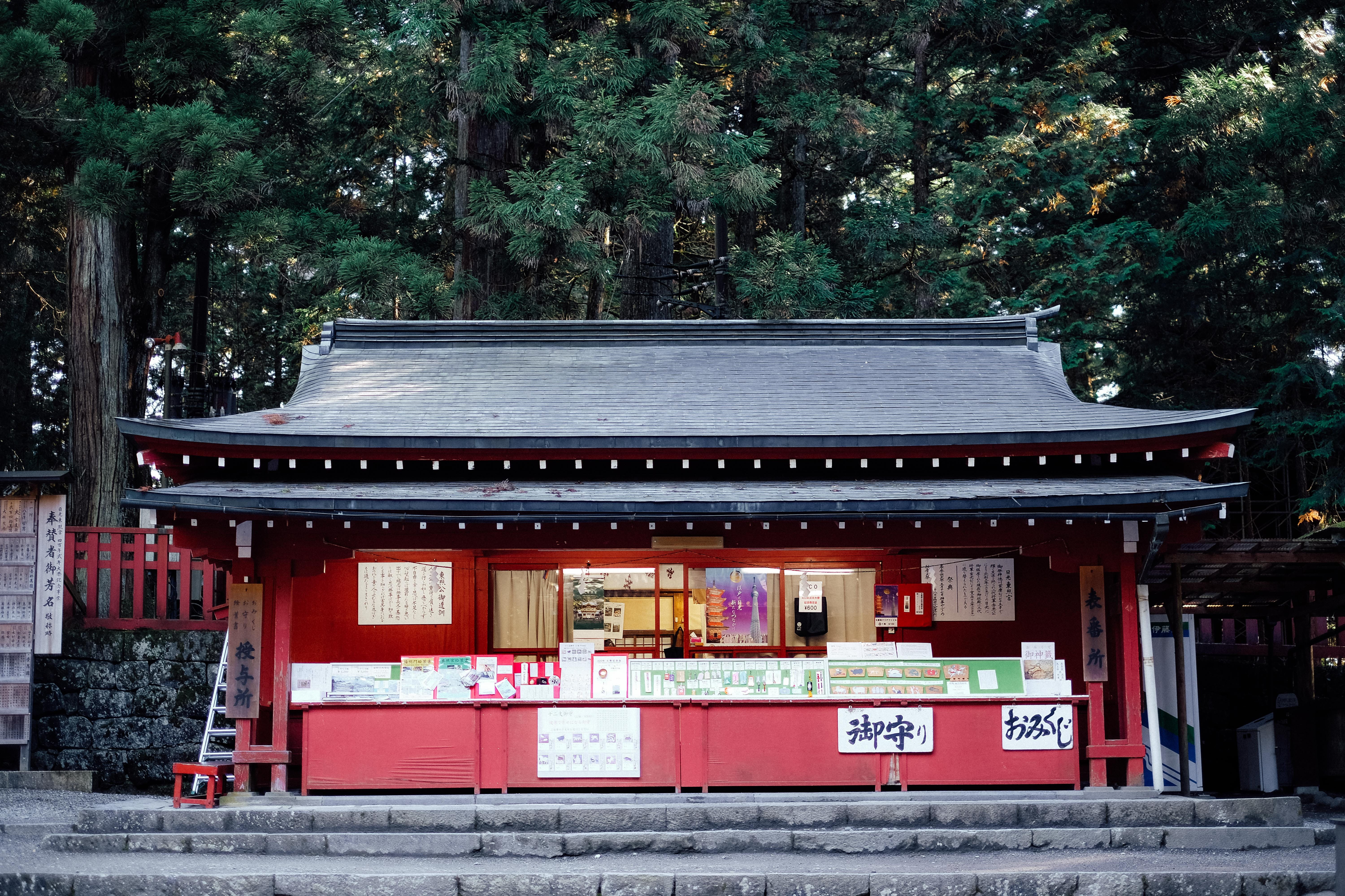 nature, belief, text, plant, tree, day, japan, place of worship, building, no people, 5K, city, outdoors, spirituality, building exterior, religion, nikko, HD Wallpaper