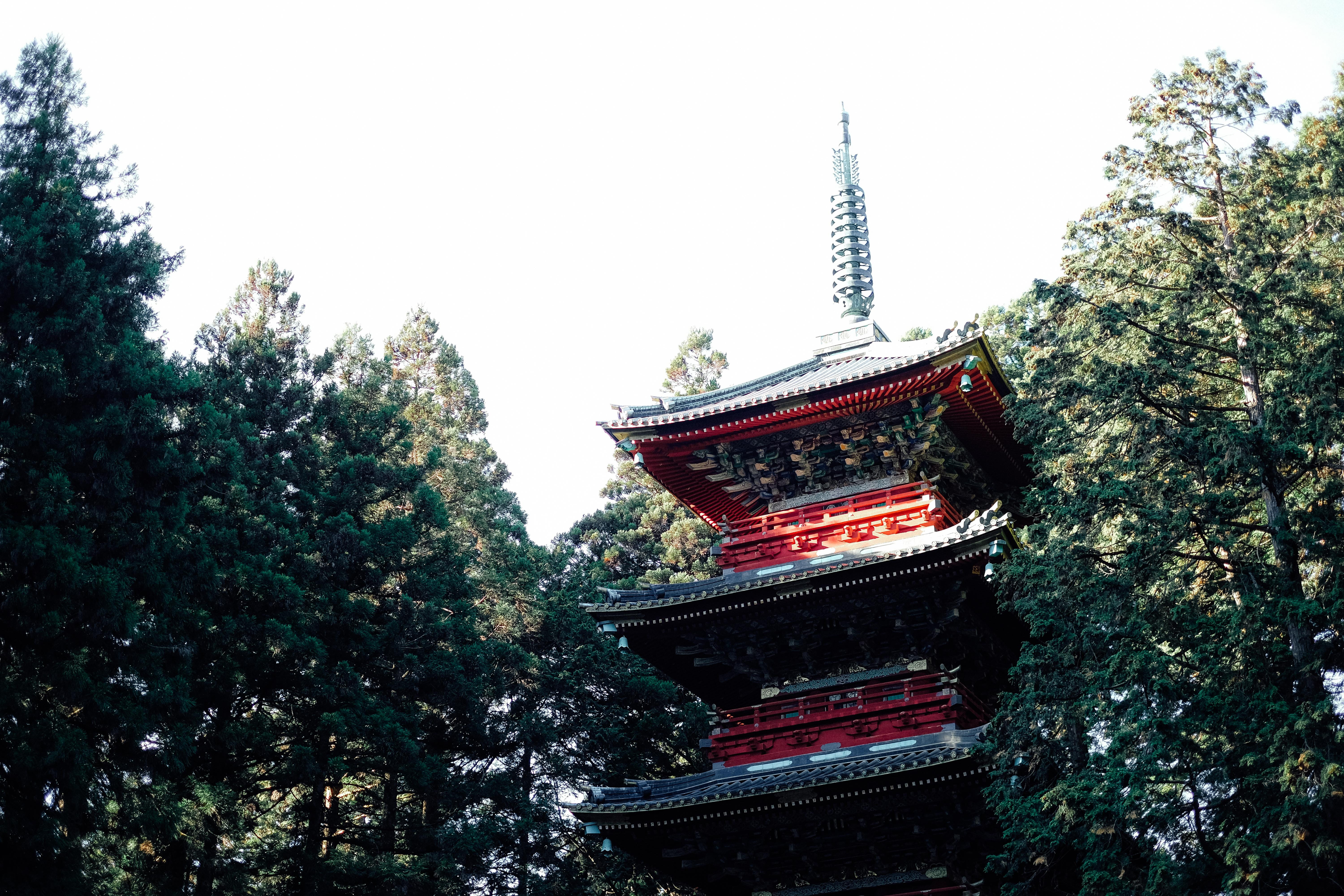 eaves, building exterior, spire, japan, nature, 5K, shrine, clear sky, architecture, spirituality, no people, built structure, place of worship, plant, HD Wallpaper