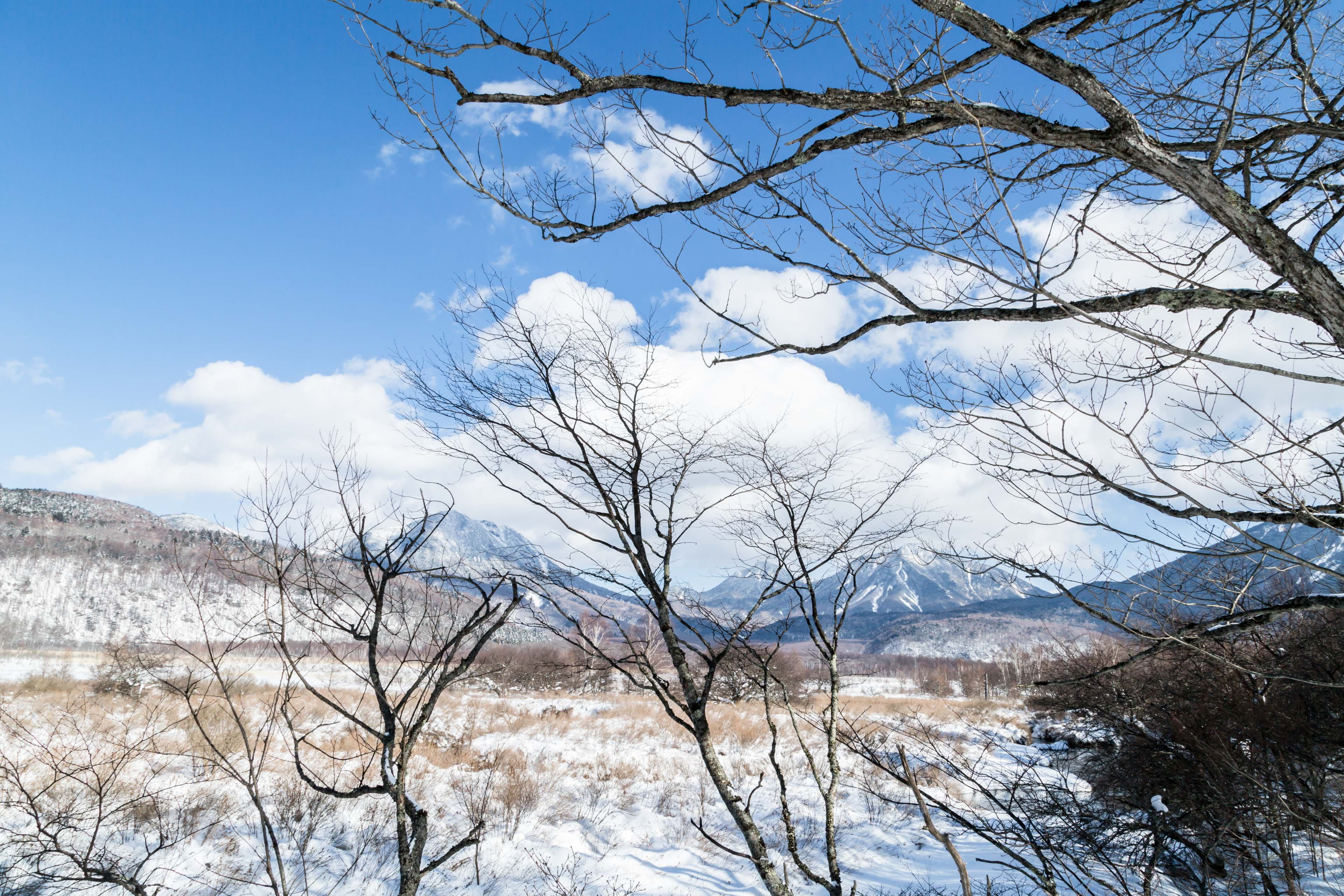 japan, low angle view, tranquility, snowcapped mountain, nikko, tree, cold, 4K, tranquil scene, bare tree, no people, sky, nature, branch, cold temperature, HD Wallpaper
