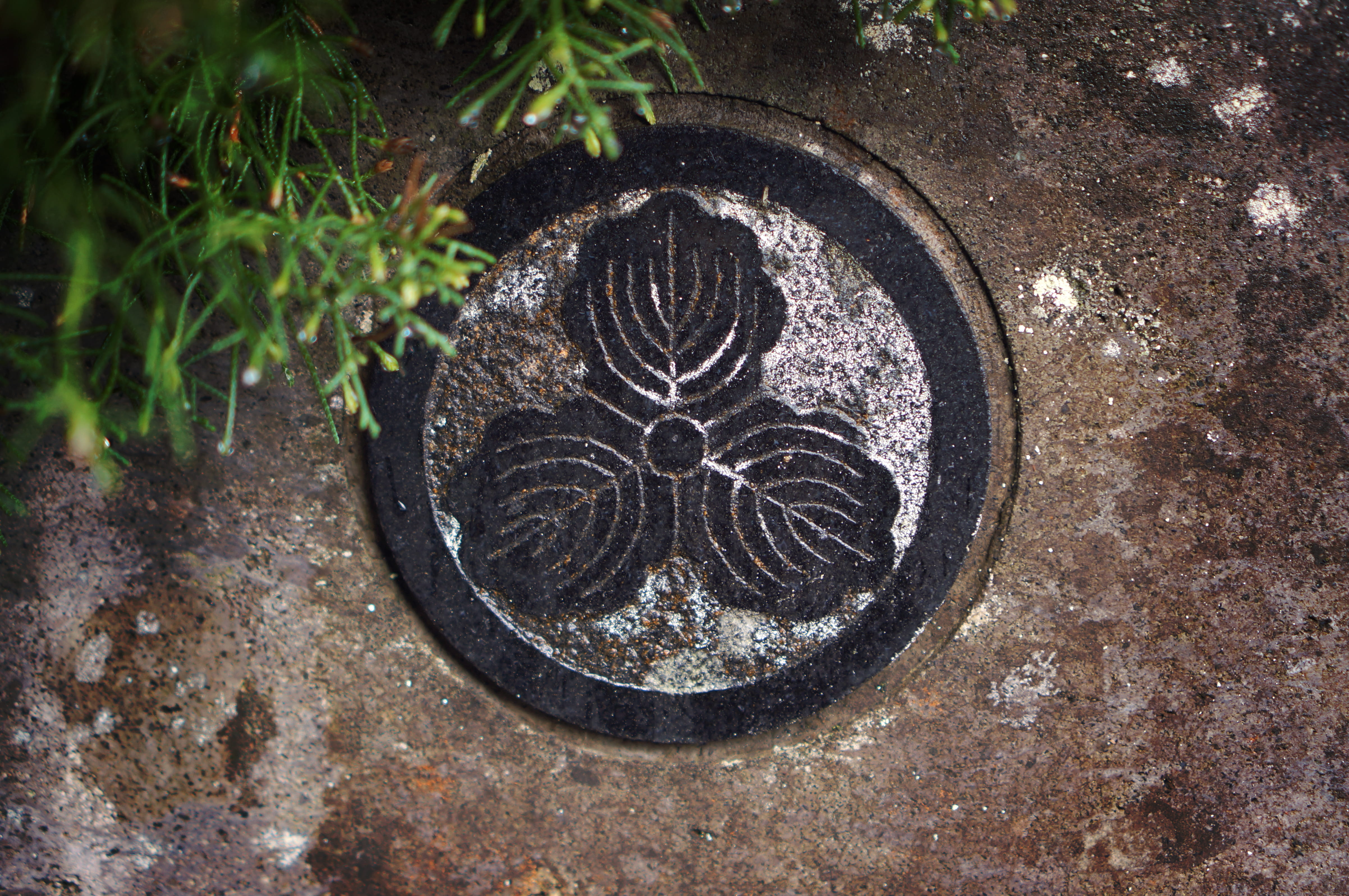 textured, no people, close-up, emblem, pattern, art and craft, marking, manhole, 4K, outdoors, shape, flower, history, day, directly above, floral pattern, HD Wallpaper