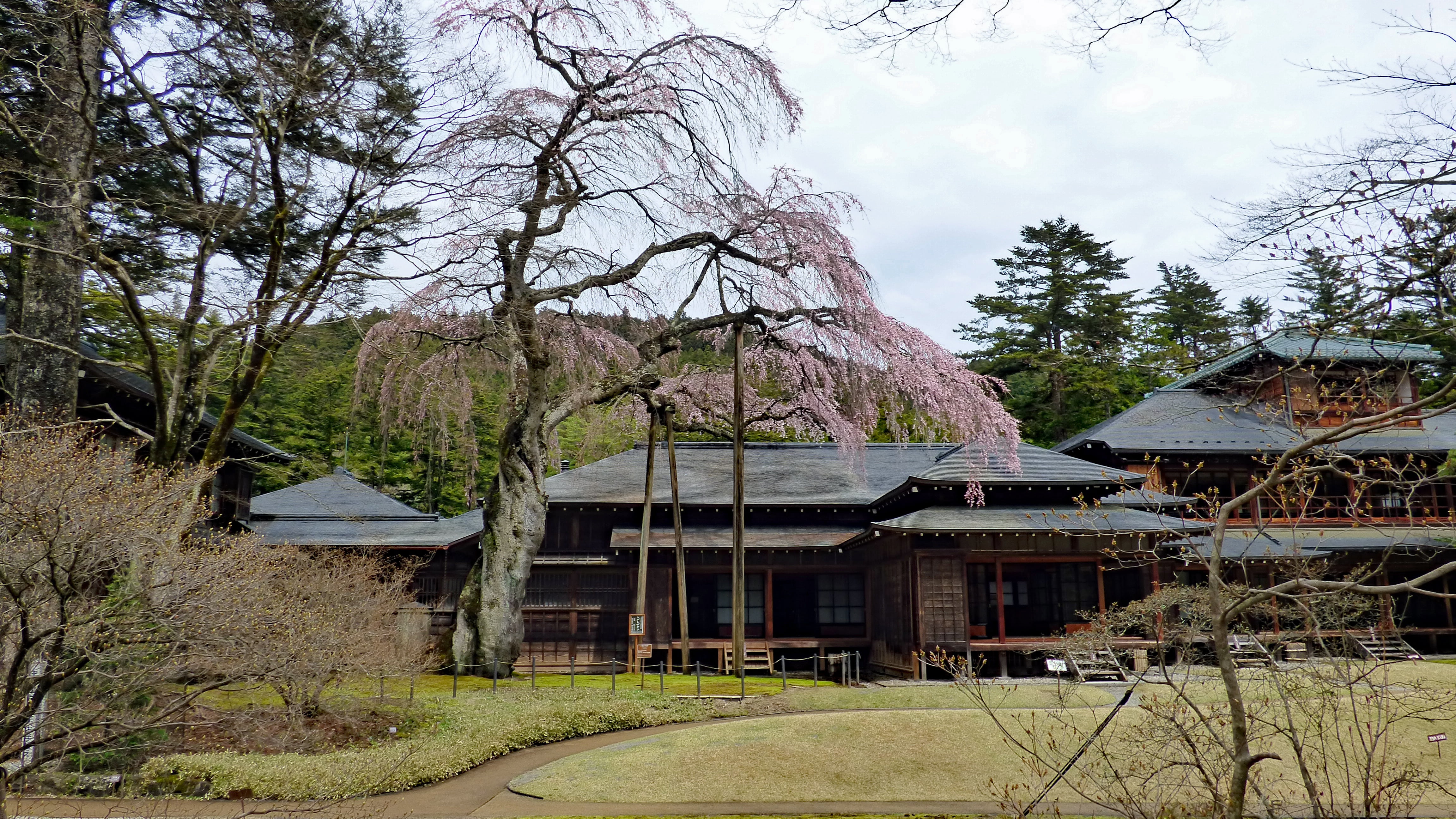 emperor, tamozawa imperial villa, japanese, sky, beauty in nature, cloud - sky, residential district, grass, building, architecture, bare tree, no people, HD Wallpaper