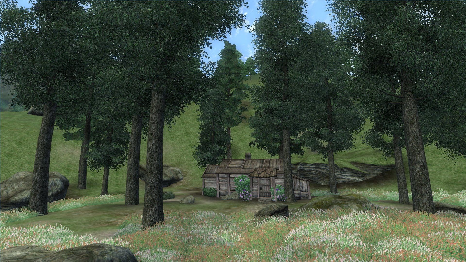 1080P, The Elder Scrolls, The Elder Scrolls IV: Oblivion, HD Wallpaper