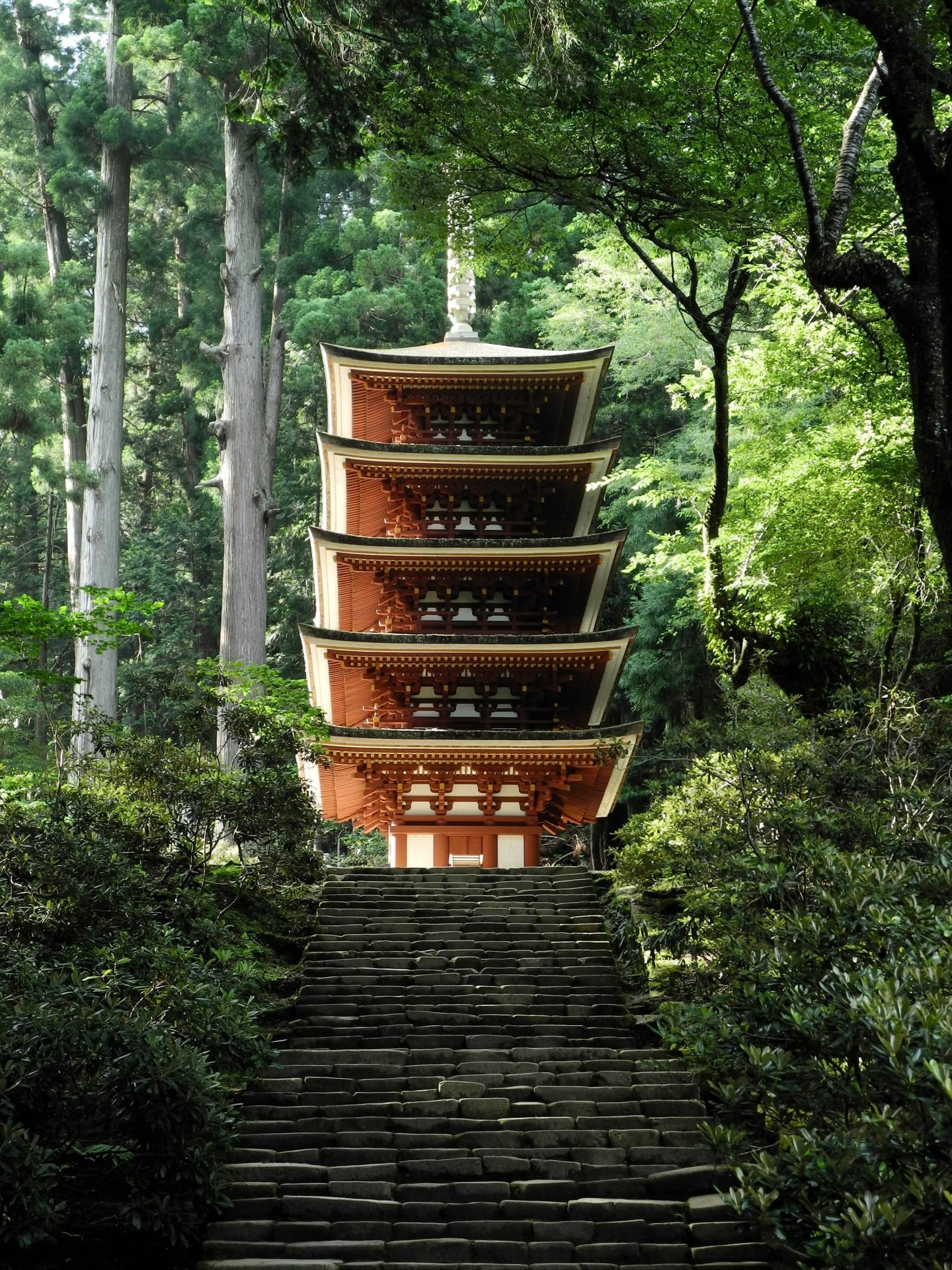 steps, belief, historic, direction, stairs, behind, architecture, okadera, plant, architecture design, staircase, padoga, green leaf, growth, three-story pagoda, Phone HD Wallpaper