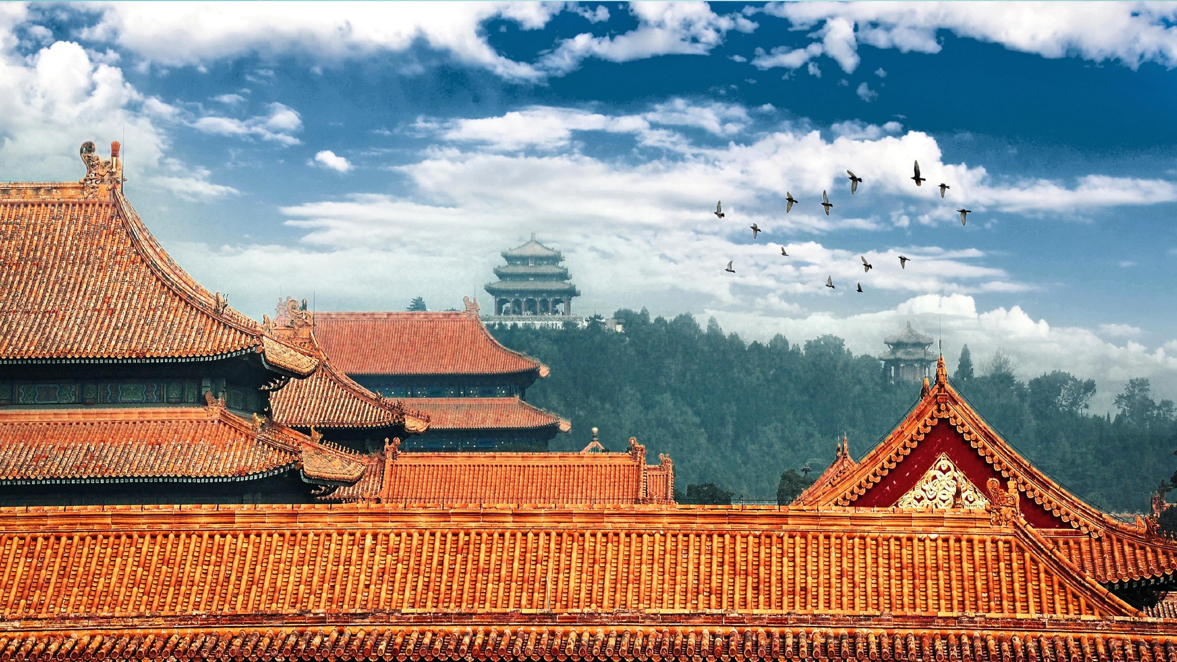 castle, architecture, travel, beijing, roof tile, tourism, travel destinations, history, building, religion, 4K, cloud - sky, built structure, birds, forbidden city, HD Wallpaper