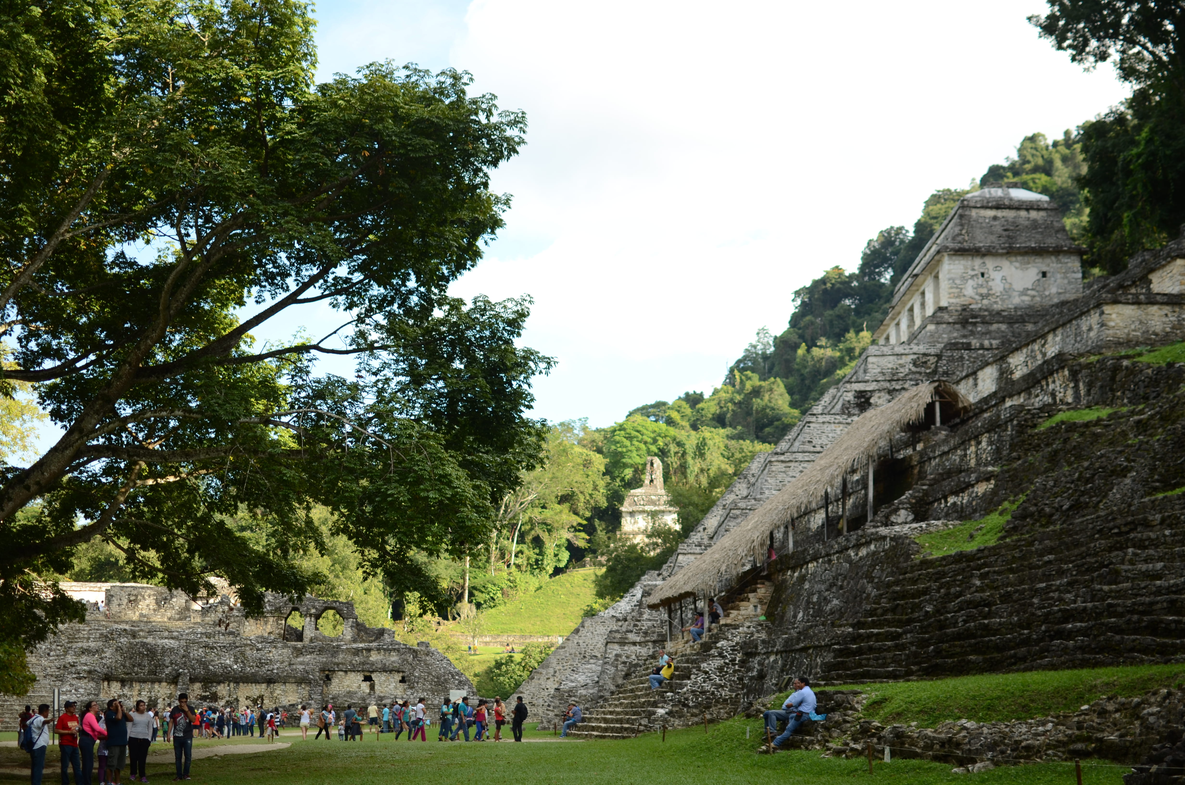 mexico, pakal, chiapas, tree, ruins, crowd, travel, slope, architecture, ancient civilization, tourism, large group of people, real people, tourist, grave, HD Wallpaper