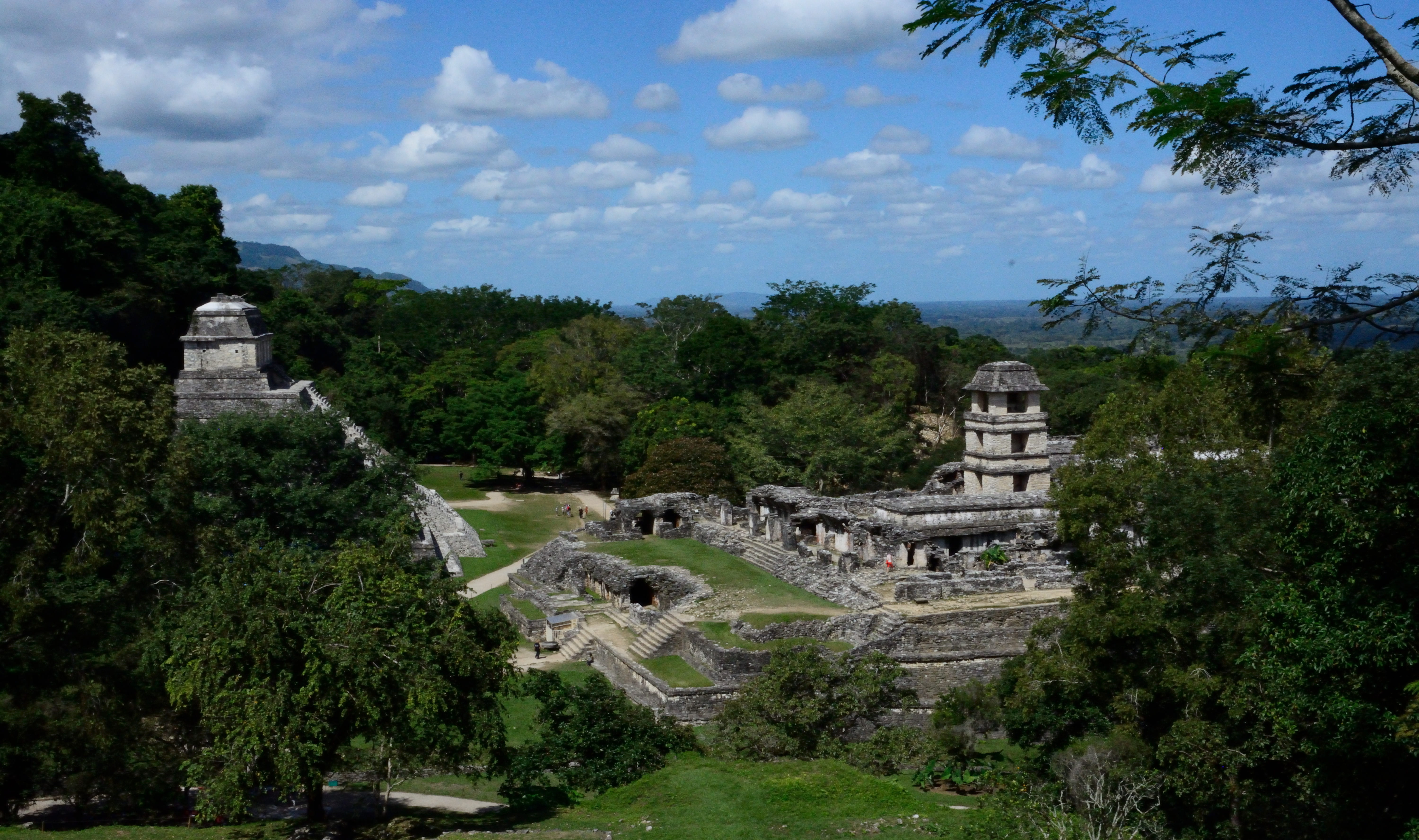 the past, jungle, palnque, tree, building, building exterior, ancient civilization, travel, sky, architecture, day, pyramid, ancient, place of worship, HD Wallpaper