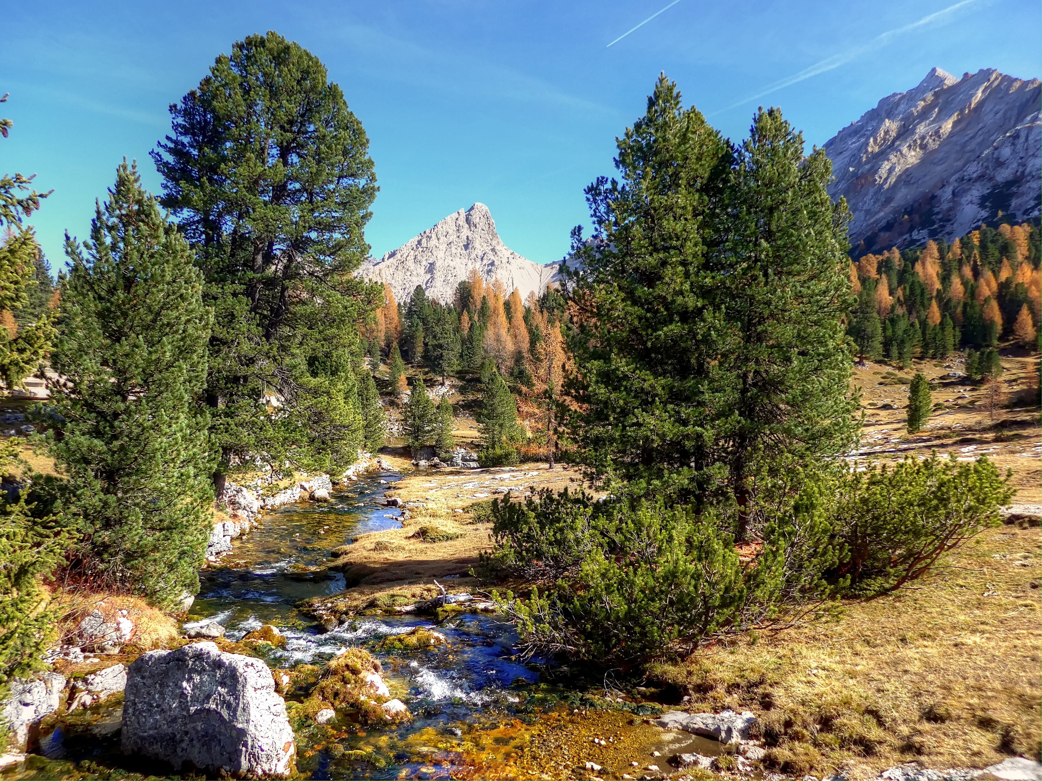 flowing water, alpine, mountain, sunny, environment, green color, tranquil scene, tree, scenics - nature, rock - object, rubble field, alm, beauty in nature, HD Wallpaper