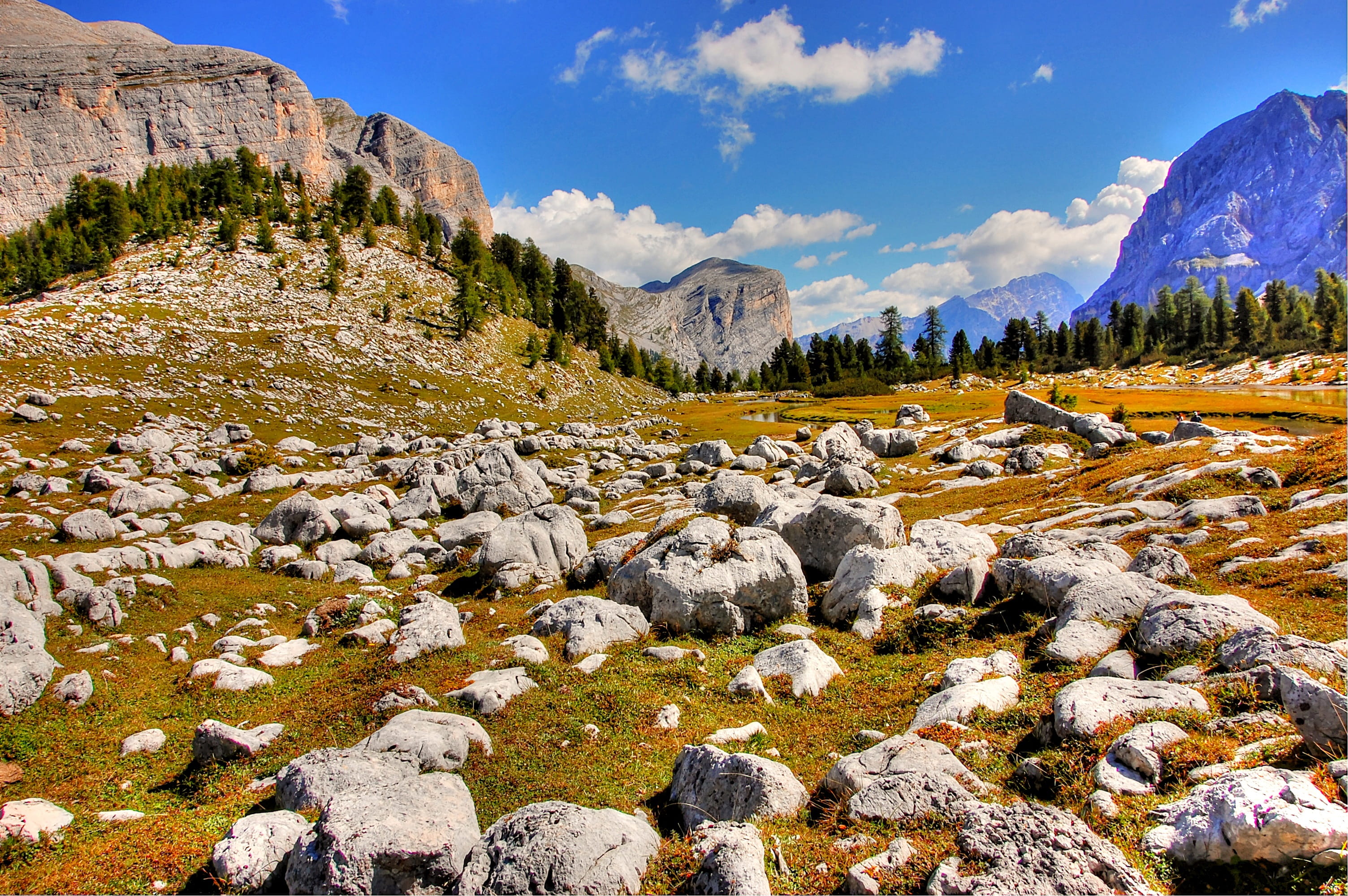 beauty in nature, water, boulders, pine woodland, tree, no people, environment, dolomites, mountain landscape, alpine, travel, plant, italy, rubble field, HD Wallpaper