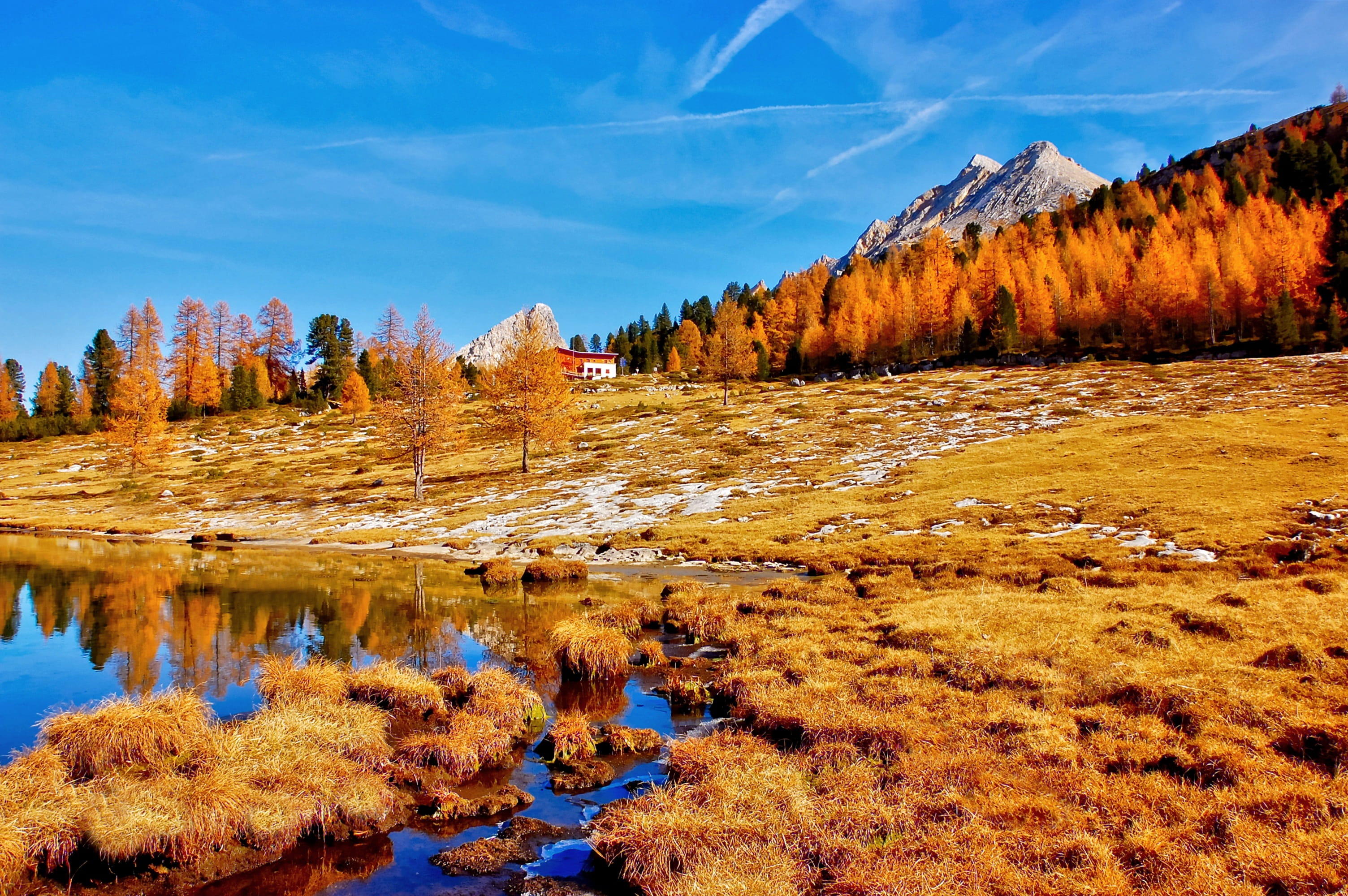 hike, alpine, italy, mountains, nature, lake, hiking, tree, non-urban scene, pine woodland, sky, scenic, tranquil scene, bergsee, fanes alm, coniferous tree, HD Wallpaper