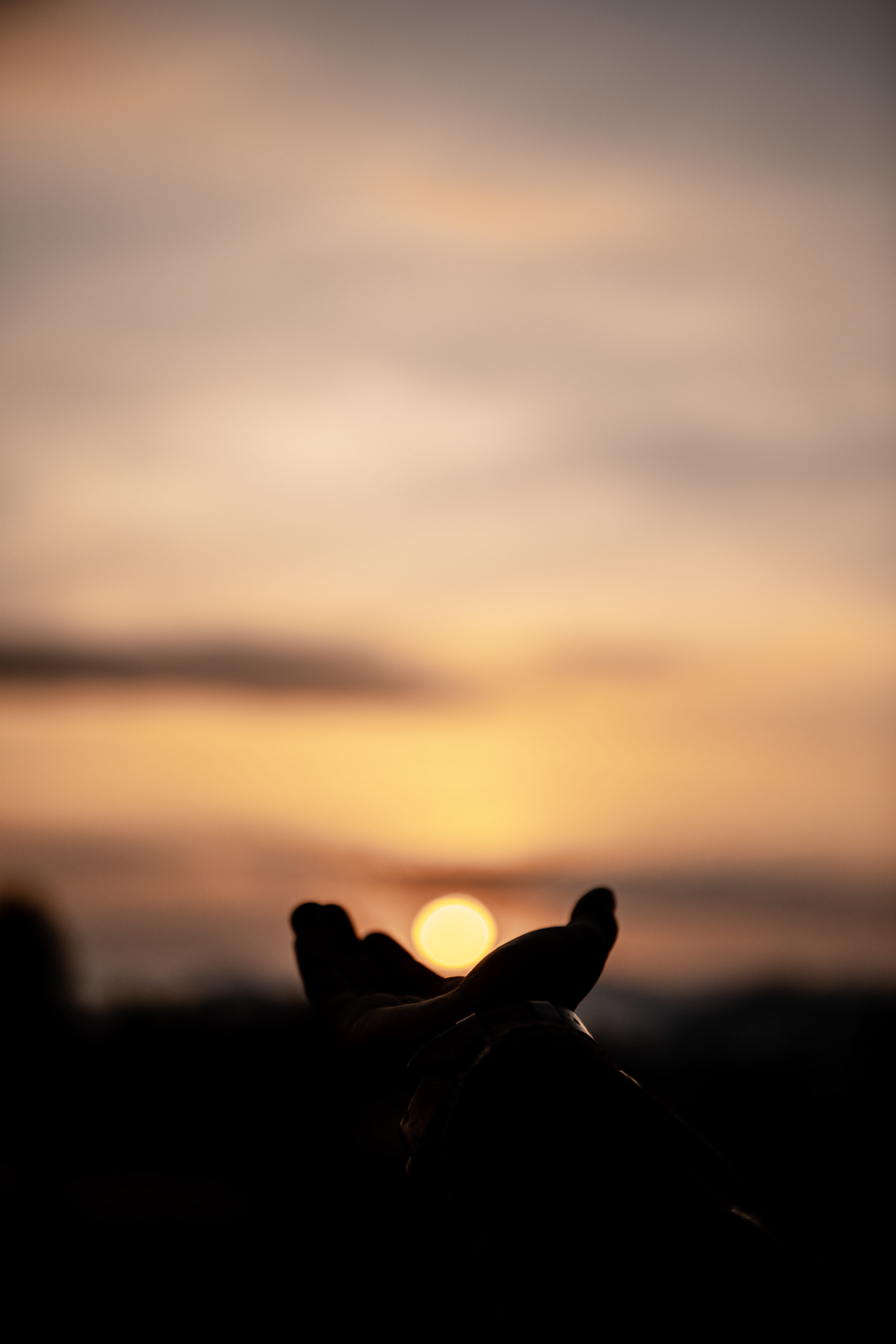 one animal, sunset, rwanda, orange color, mammal, animal, orange, human body part, leisure activities, beauty in nature, animal themes, crow, red sky, dusk, Phone HD Wallpaper