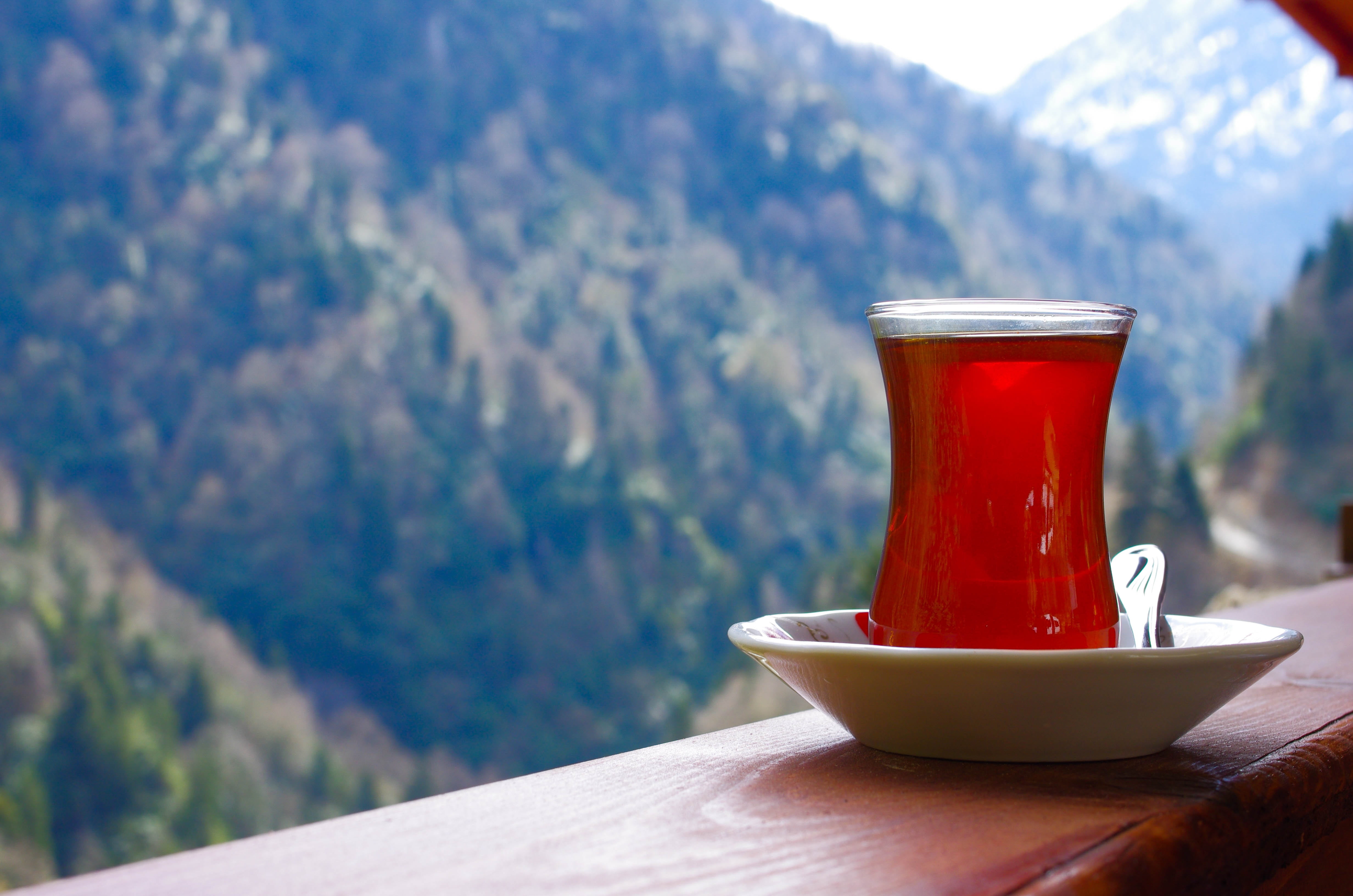 forest, focus on foreground, household equipment, mountain, tea - hot drink, wellbeing, brown, day, table, cup, drink, clear, wood - material, refreshment, HD Wallpaper