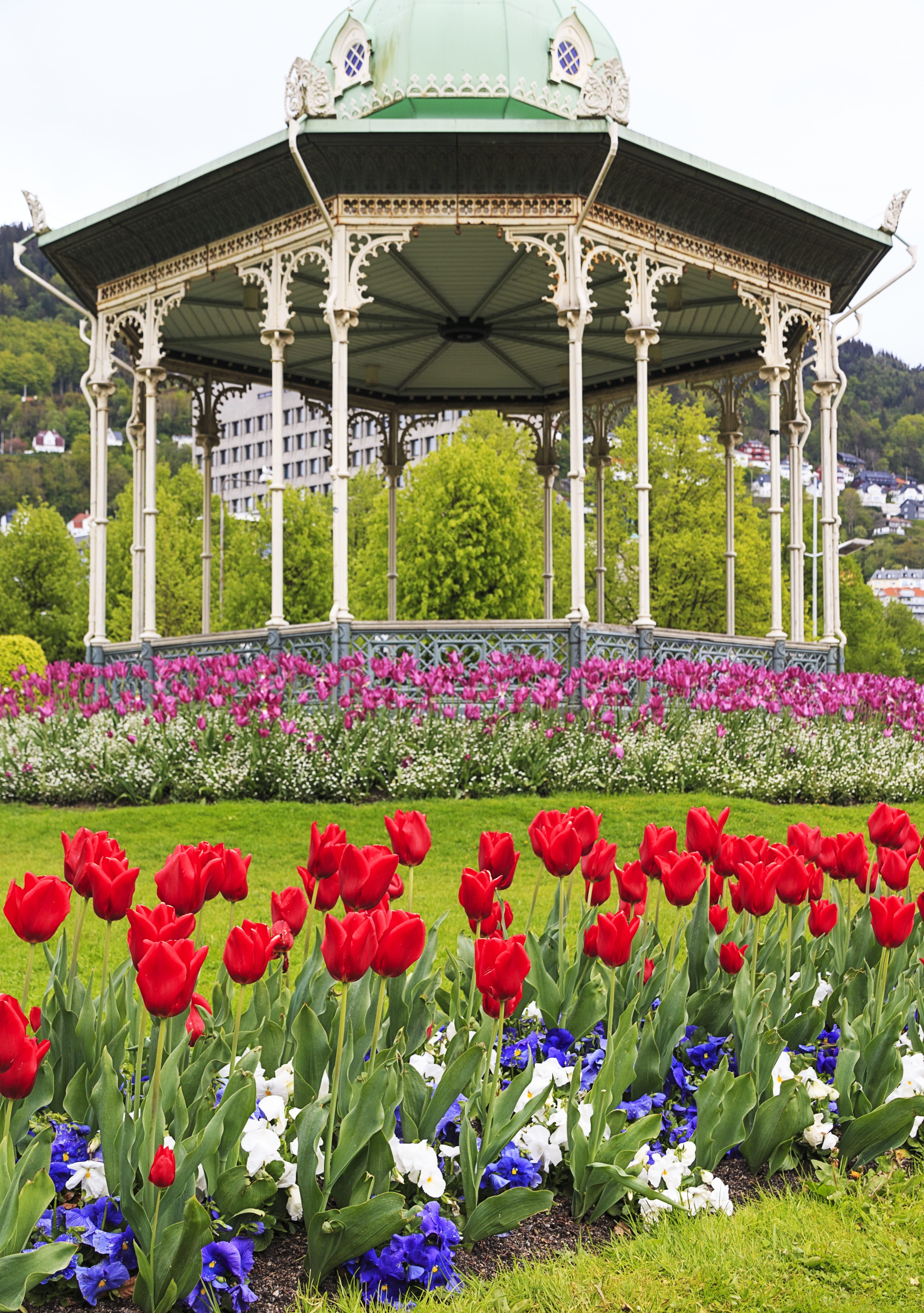 Norway, flower, Bergen, park, bandstand, public, scene, flowering plant, sky, tulips, springtime, growth, nordic, multi colored, colour, architectural, Phone HD Wallpaper