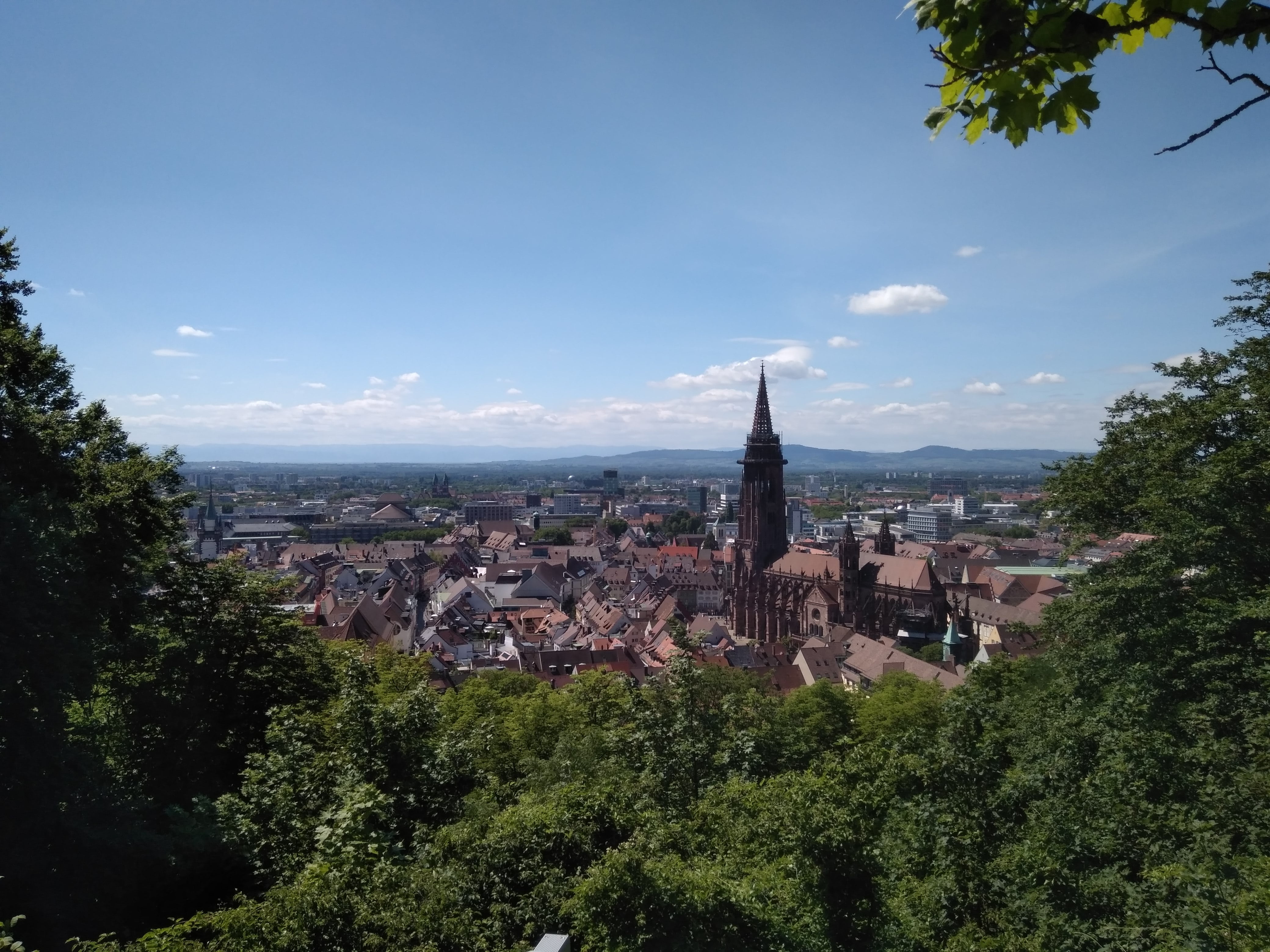 location, growth, religion, tourism, cityscape, built structure, plant, building, day, black forest, view, city, schlossberg, place of worship, münster, HD Wallpaper
