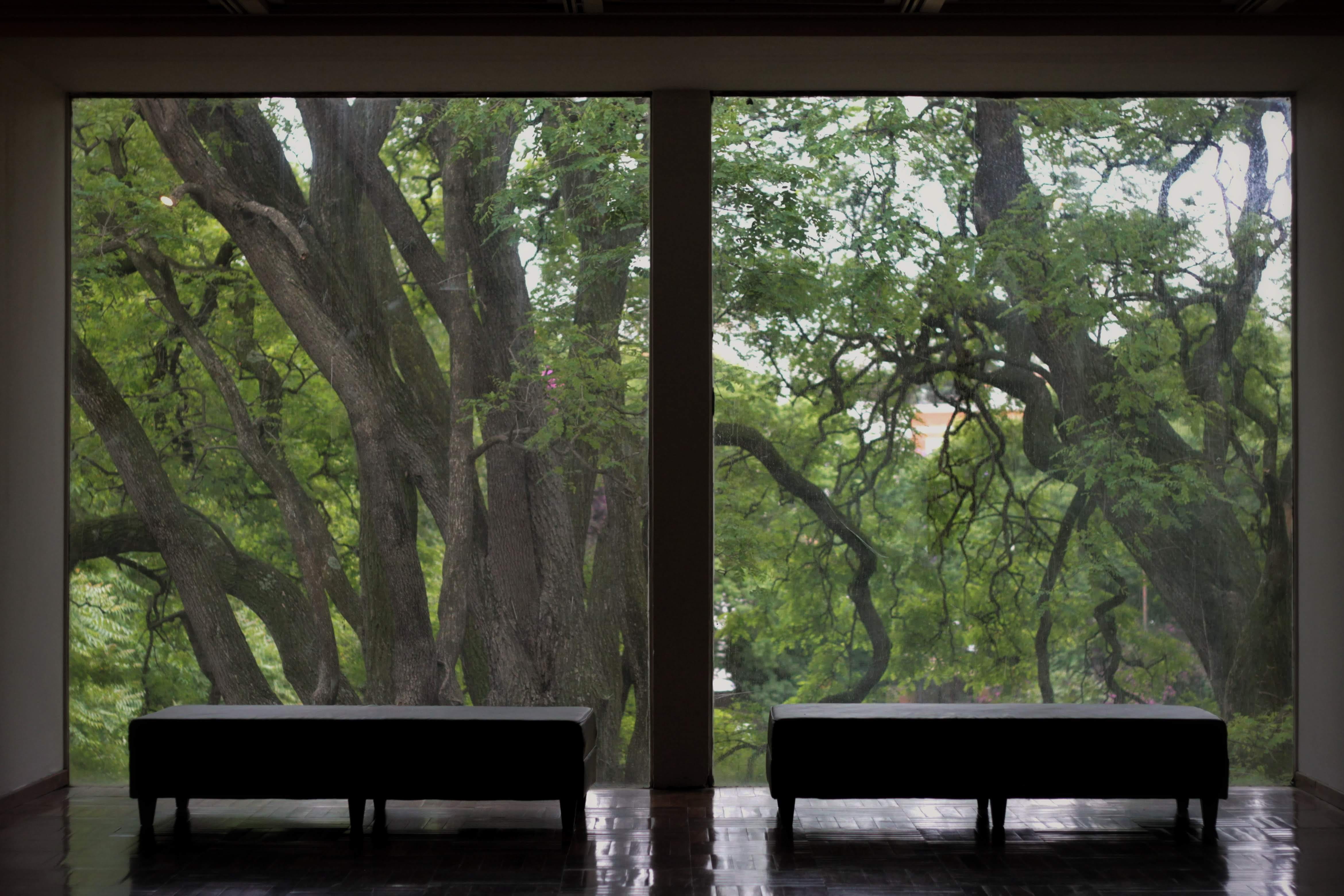 patio, floor, table, trunk, uruguay, bench, seat, flooring, tranquility, garden, tranquil scene, absence, park, no people, nature, tree, tree trunk, 4K, HD Wallpaper