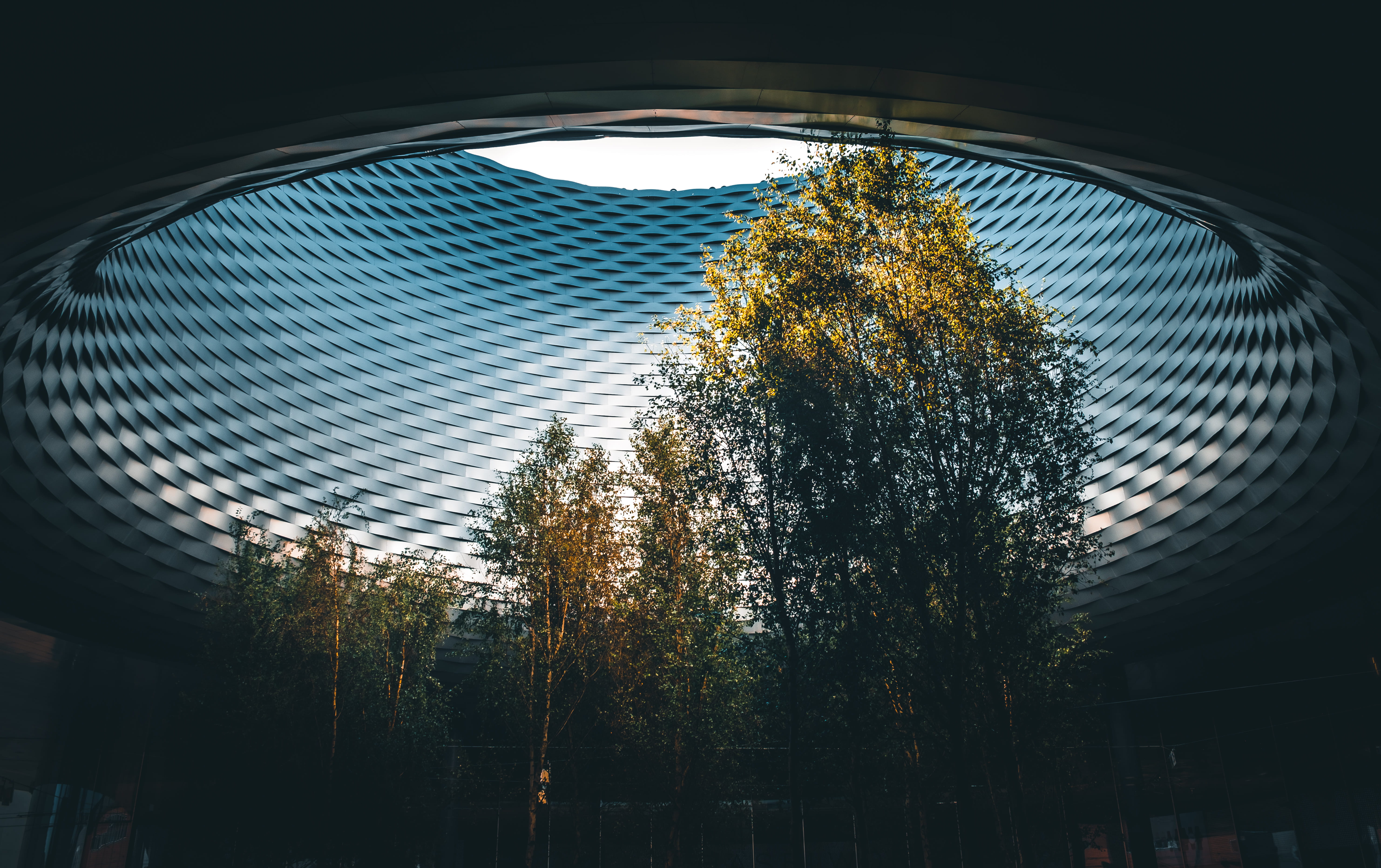 building exterior, growth, glass - material, tall - high, change, juxtaposition, outdoors, basel, 5K, tower, architecture, day, leafed, urban, travel destinations, HD Wallpaper