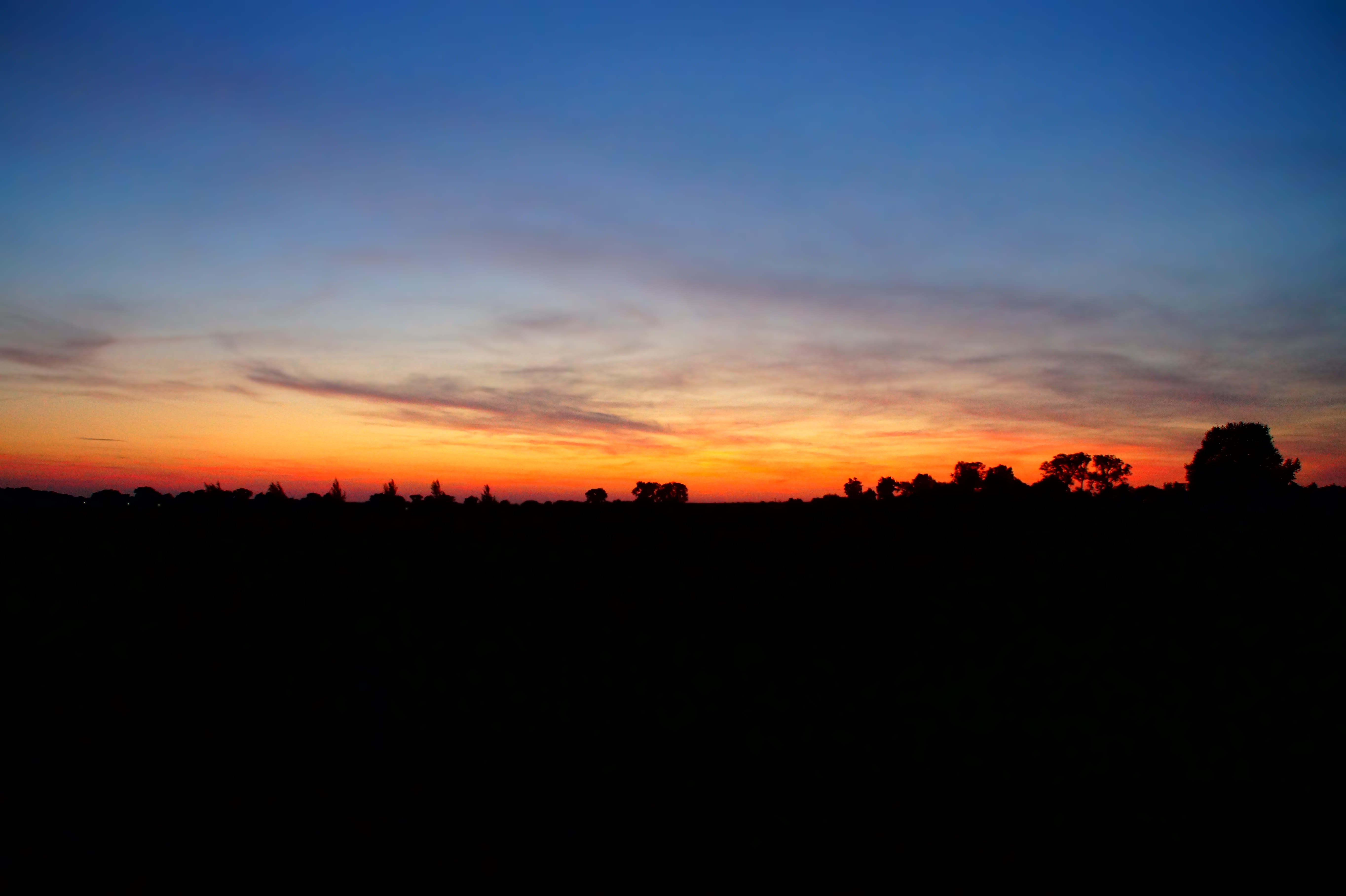 non-urban scene, stolpe auf usedom, orange color, landscape, tree, land, silhouette, no people, idyllic, 5K, tranquility, nature, cloud - sky, scenics - nature, HD Wallpaper