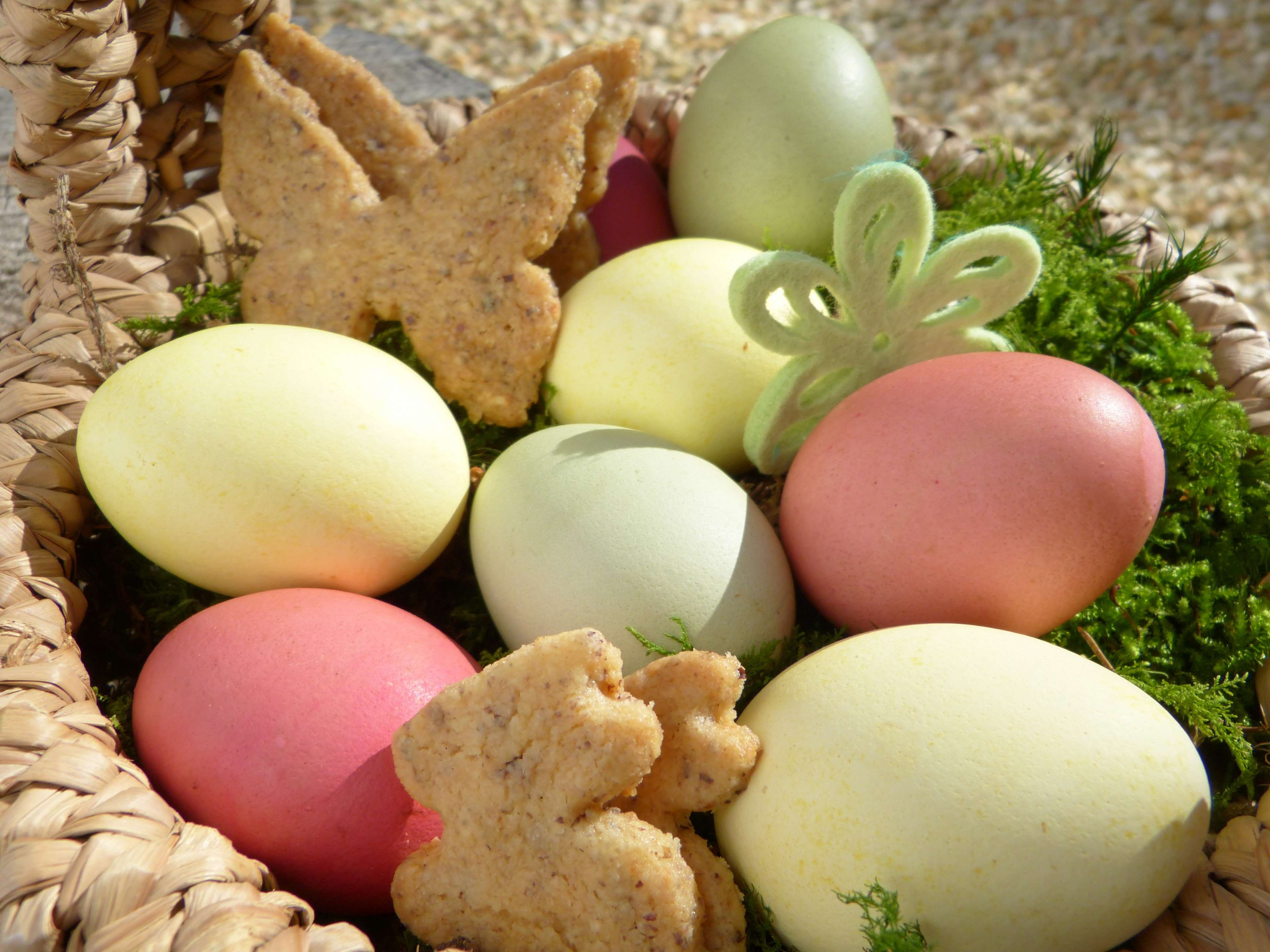 looking for easter eggs, easter greeting, colored, plant, nature, cookies, easter egg, family, easter eggs, holiday - event, ost, close-up, healthy eating, HD Wallpaper