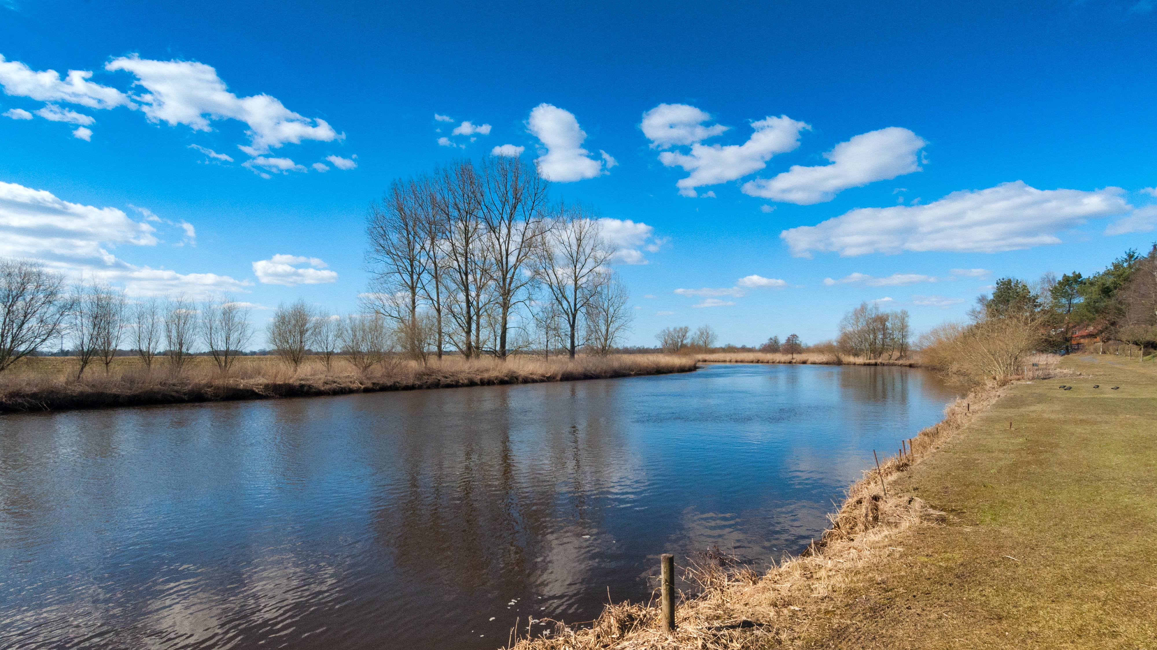 blue, summer, cloud - Sky, beauty in nature, landscape, scenics, rural Scene, scenics - nature, tranquil scene, Lower Saxony, green, outdoors, day, lake, HD Wallpaper