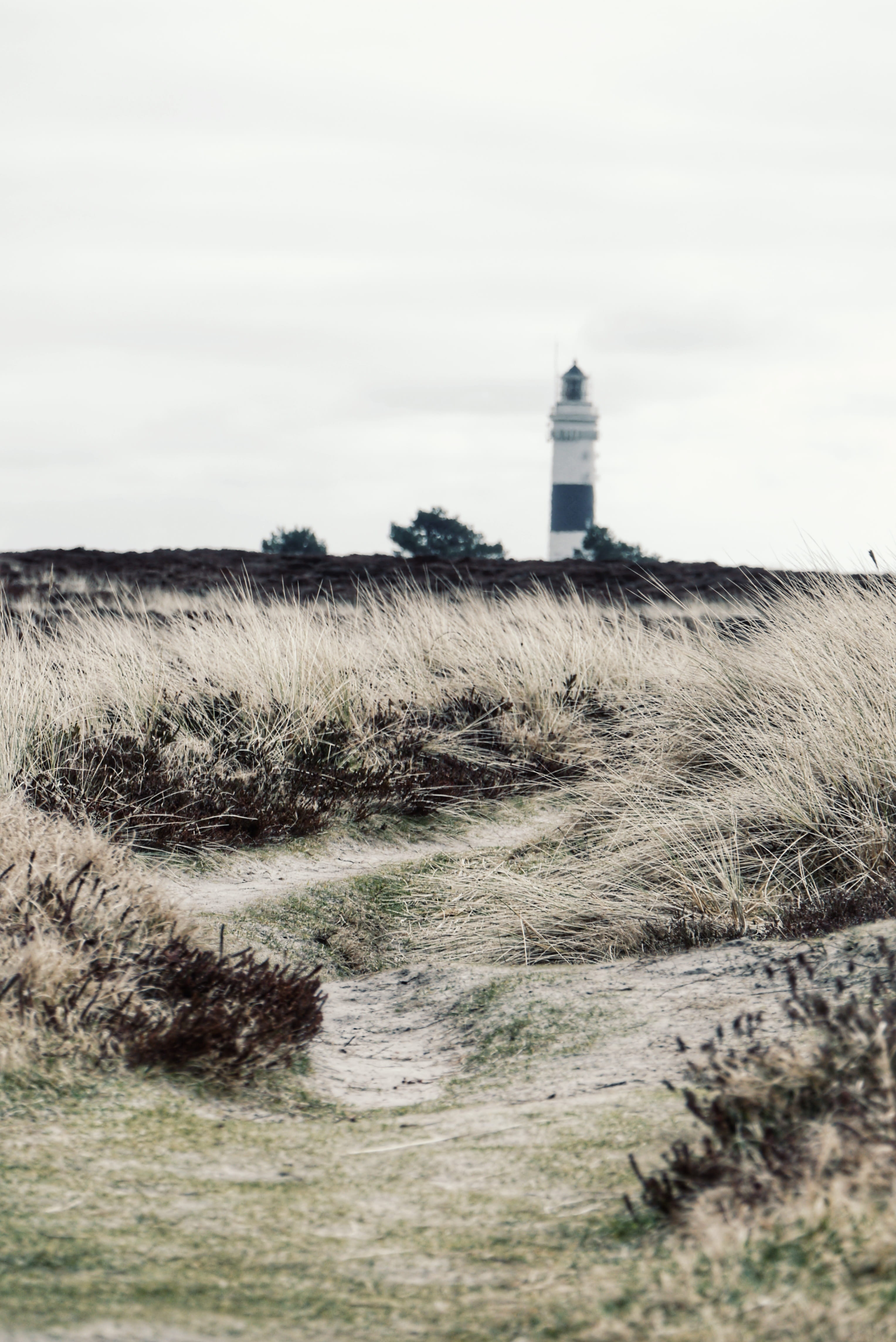 field, 4K, guidance, coast, landscape, germany, building, sky, building exterior, built structure, day, tower, plant, environment, direction, nordsee, Phone HD Wallpaper