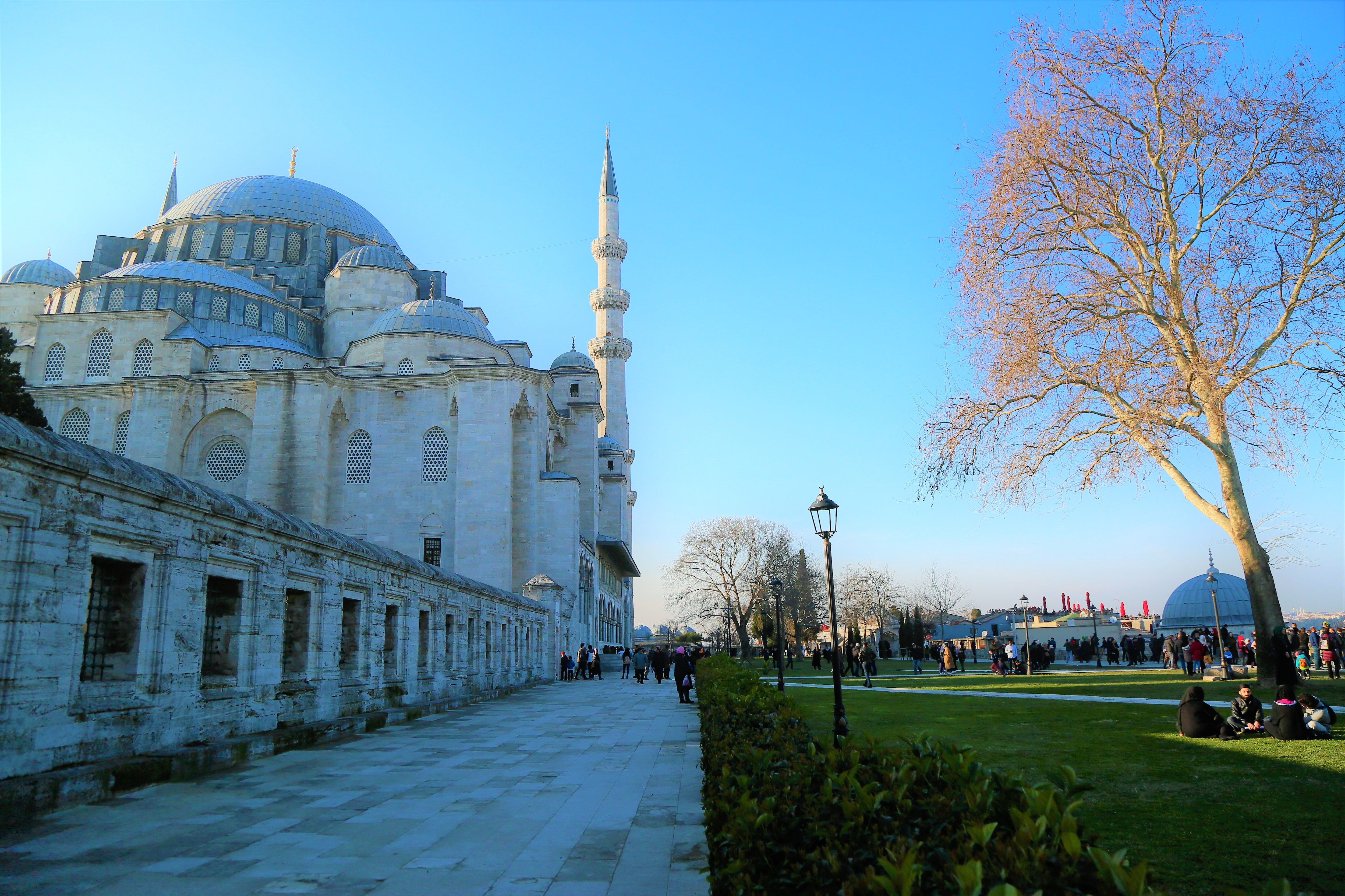 building exterior, history, plant, istanbul, sky, incidental people, minaret, travel, 5K, turkey, dome, cami, on, travel destinations, spirituality, religion, HD Wallpaper
