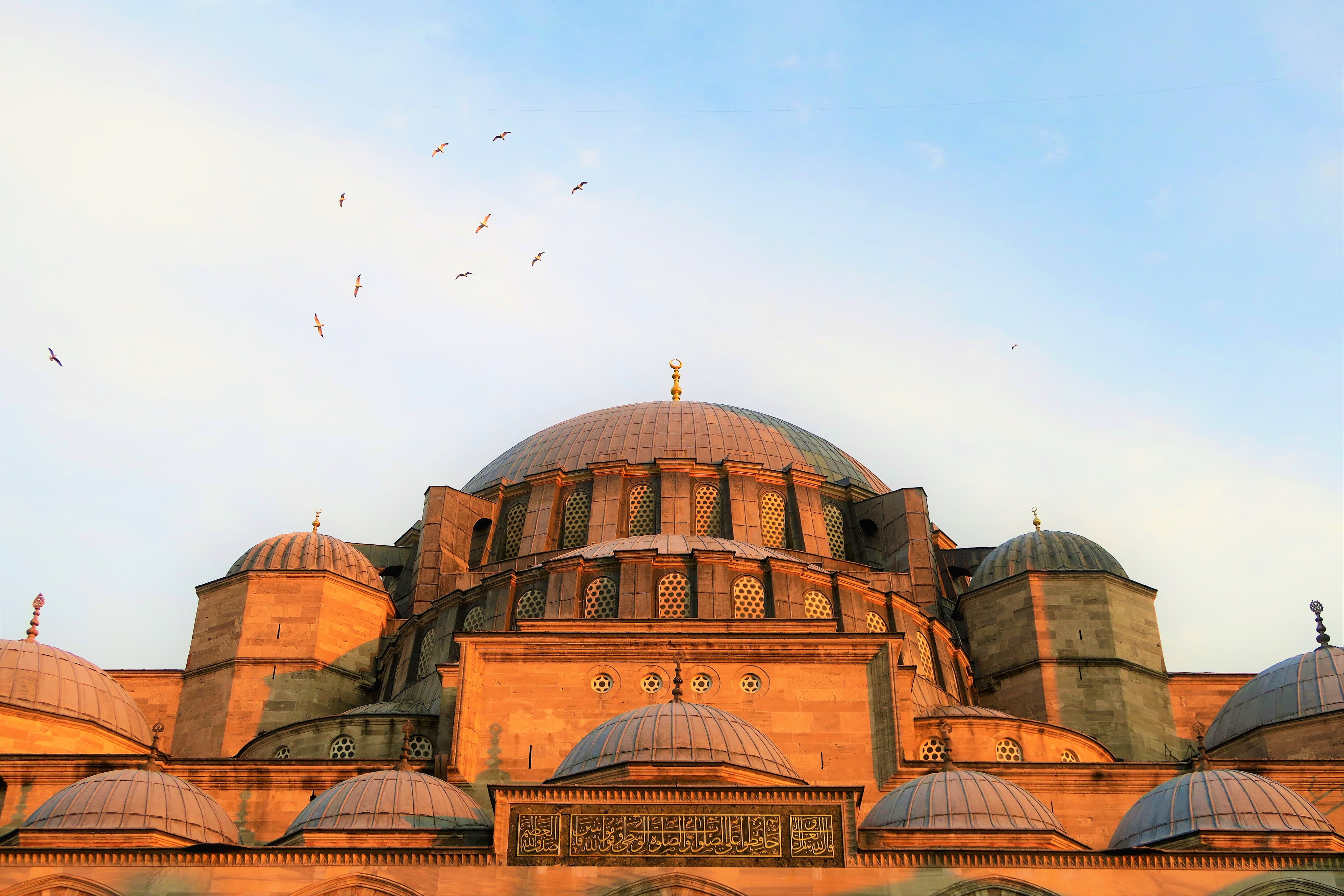 architecture, süleymaniye, sky, city, group of animals, building exterior, flock of birds, cami, spirituality, istanbul, landscape, religion, beautiful, HD Wallpaper