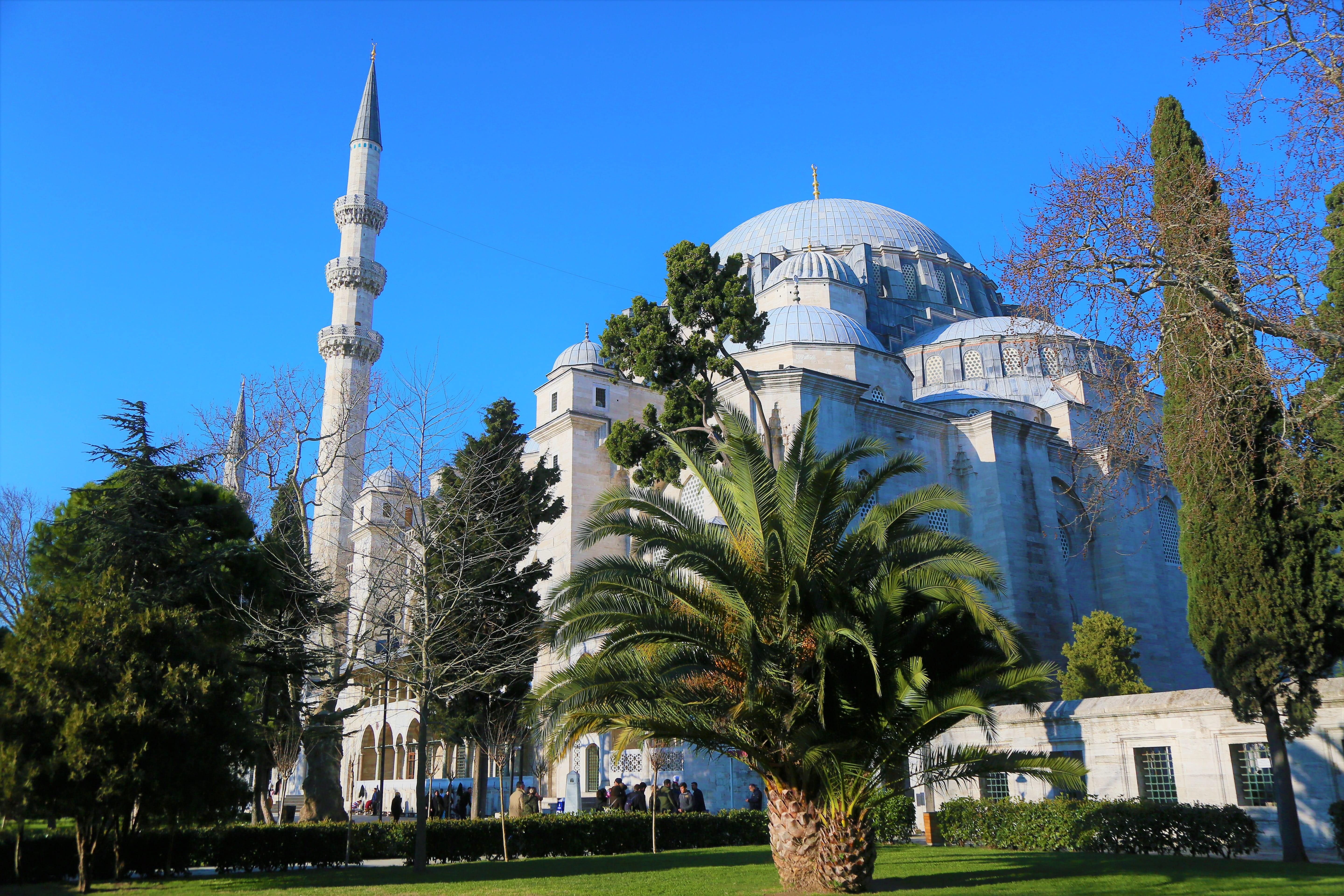 plant, minaret, religion, cami, travel destinations, architecture, tourism, palm, on, travel, islam, building, cypress, beautiful, süleymaniye, 5K, istanbul, HD Wallpaper
