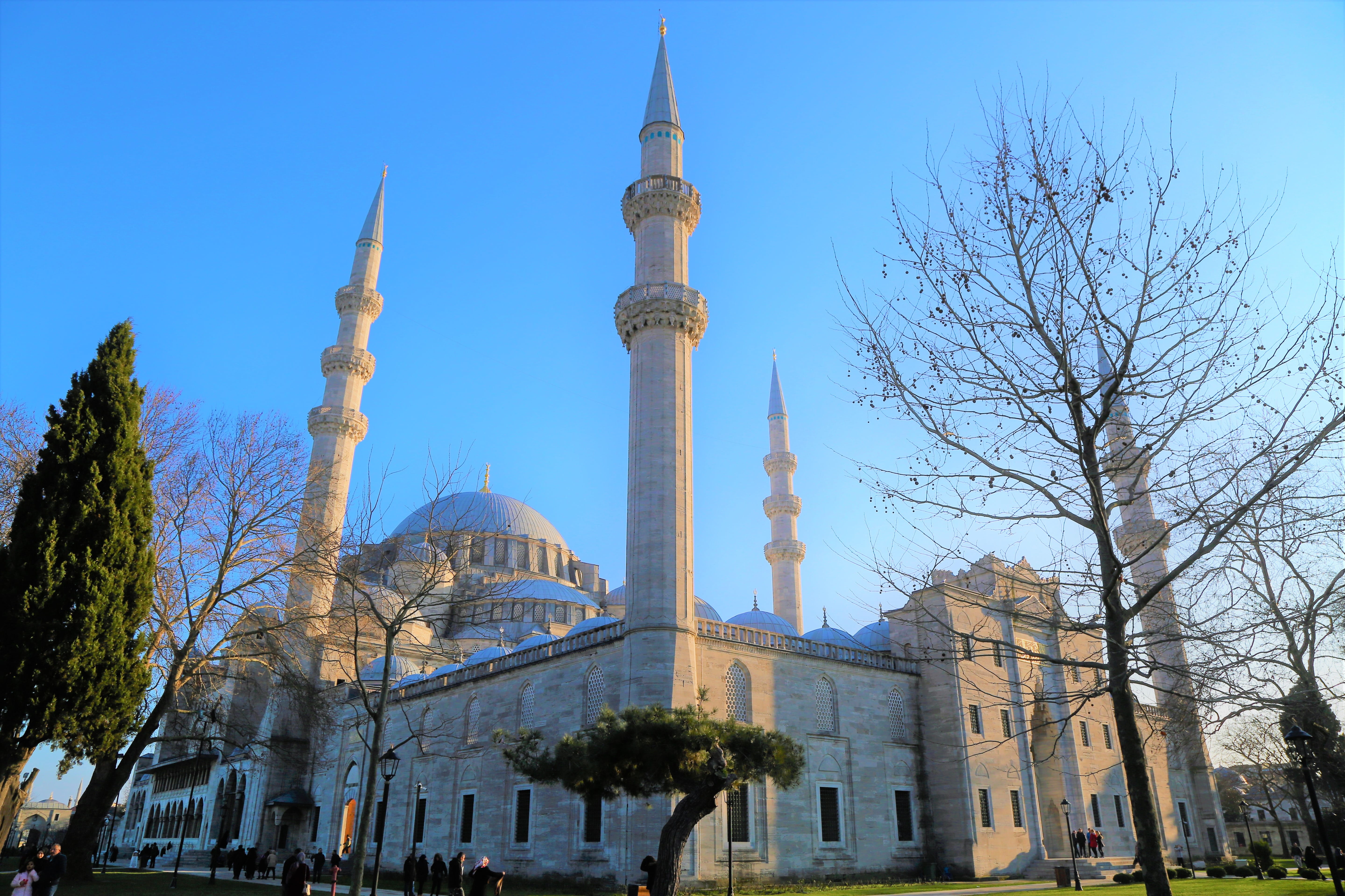 süleymaniye, nature, outdoors, dome, religion, place of worship, architecture, plant, turkey, tourism, cami, clear sky, city, on, tree, blue, travel, the minarets, HD Wallpaper