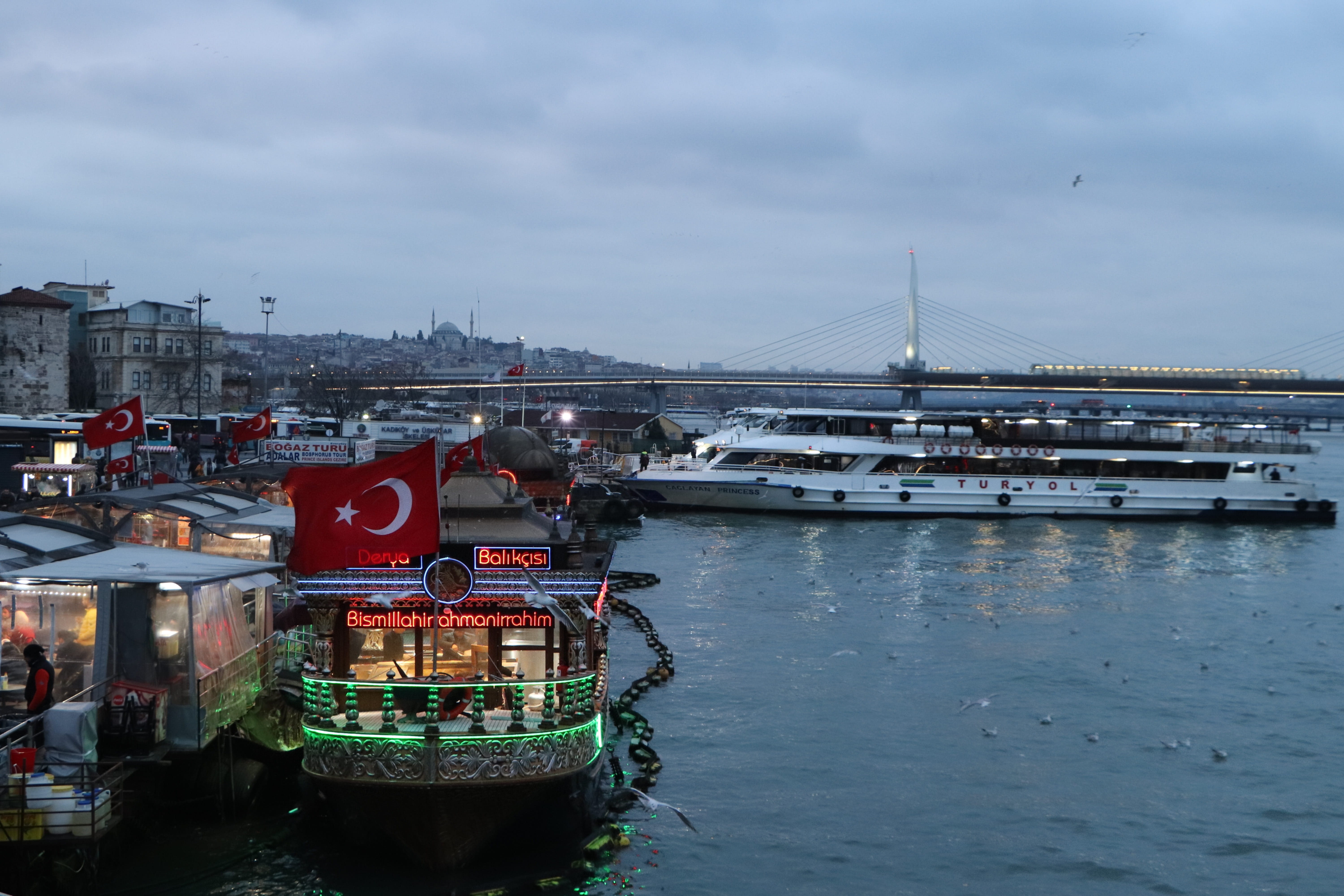 mosques, fatih, mode of transportation, transportation, outdoors, old, architecture, nature, galata, built structure, beautiful, water, passenger craft, HD Wallpaper
