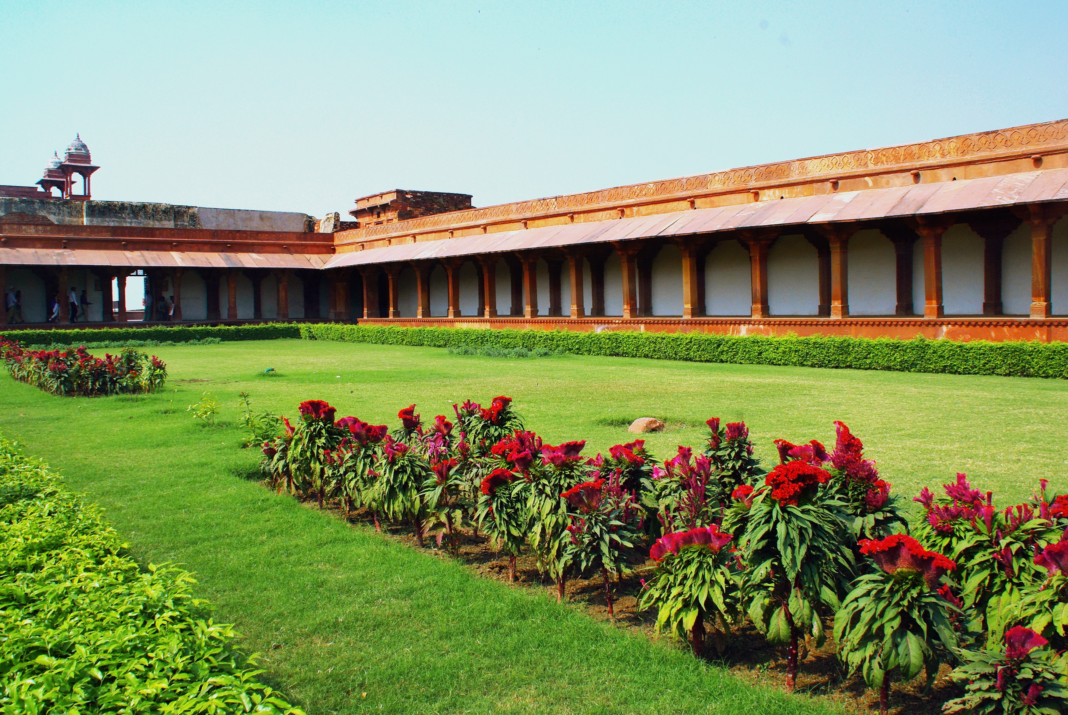 no people, cloister, flowering plant, architecture, day, field, growth, flower, outdoors, fahtepur sikri, green color, travel destinations, india, 2K, HD Wallpaper