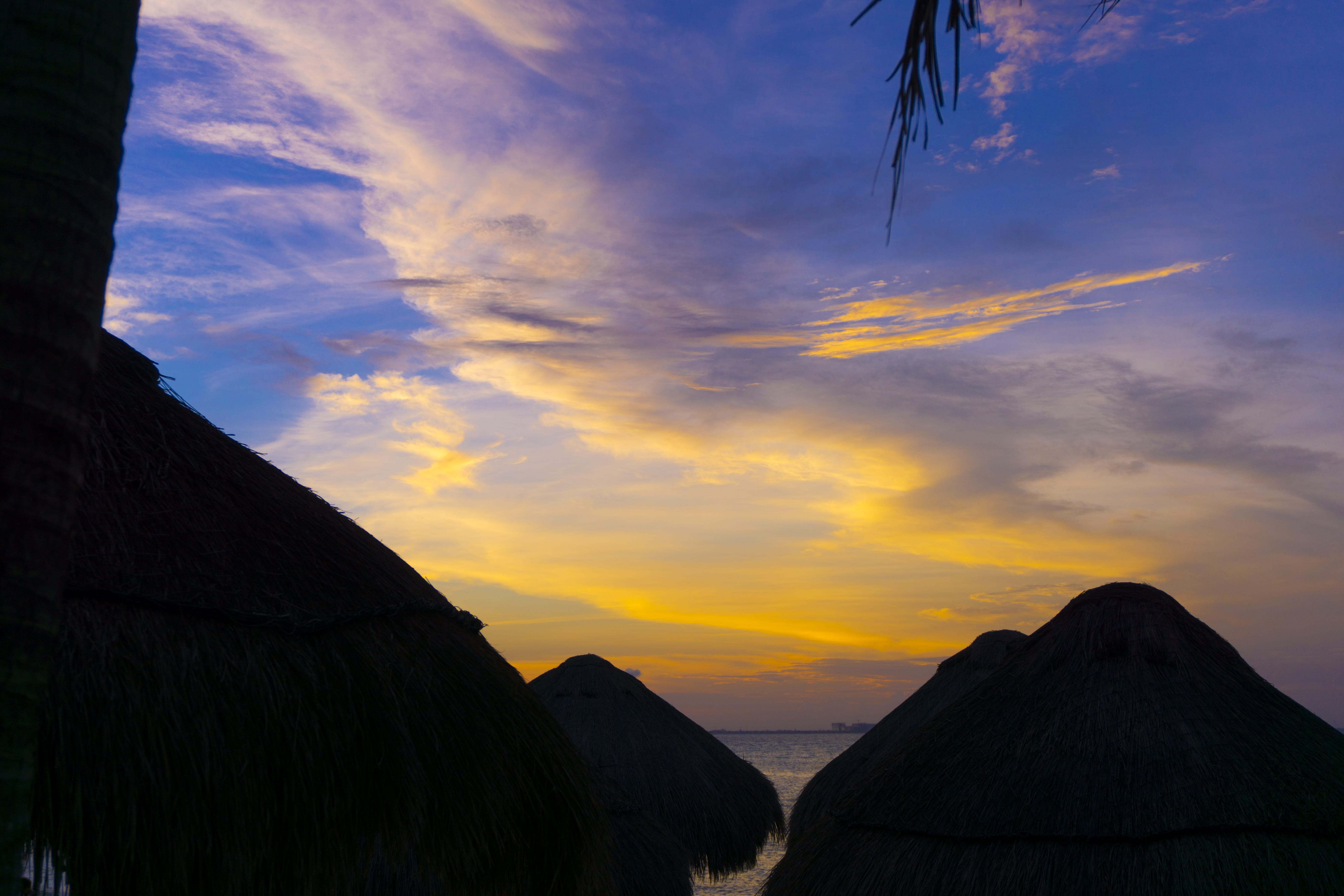 pineapple, cancún, beauty in nature, non-urban scene, evening, tiki, water, swimming, hotel, tree, vacation, nature, mango, environment, girl, HD Wallpaper