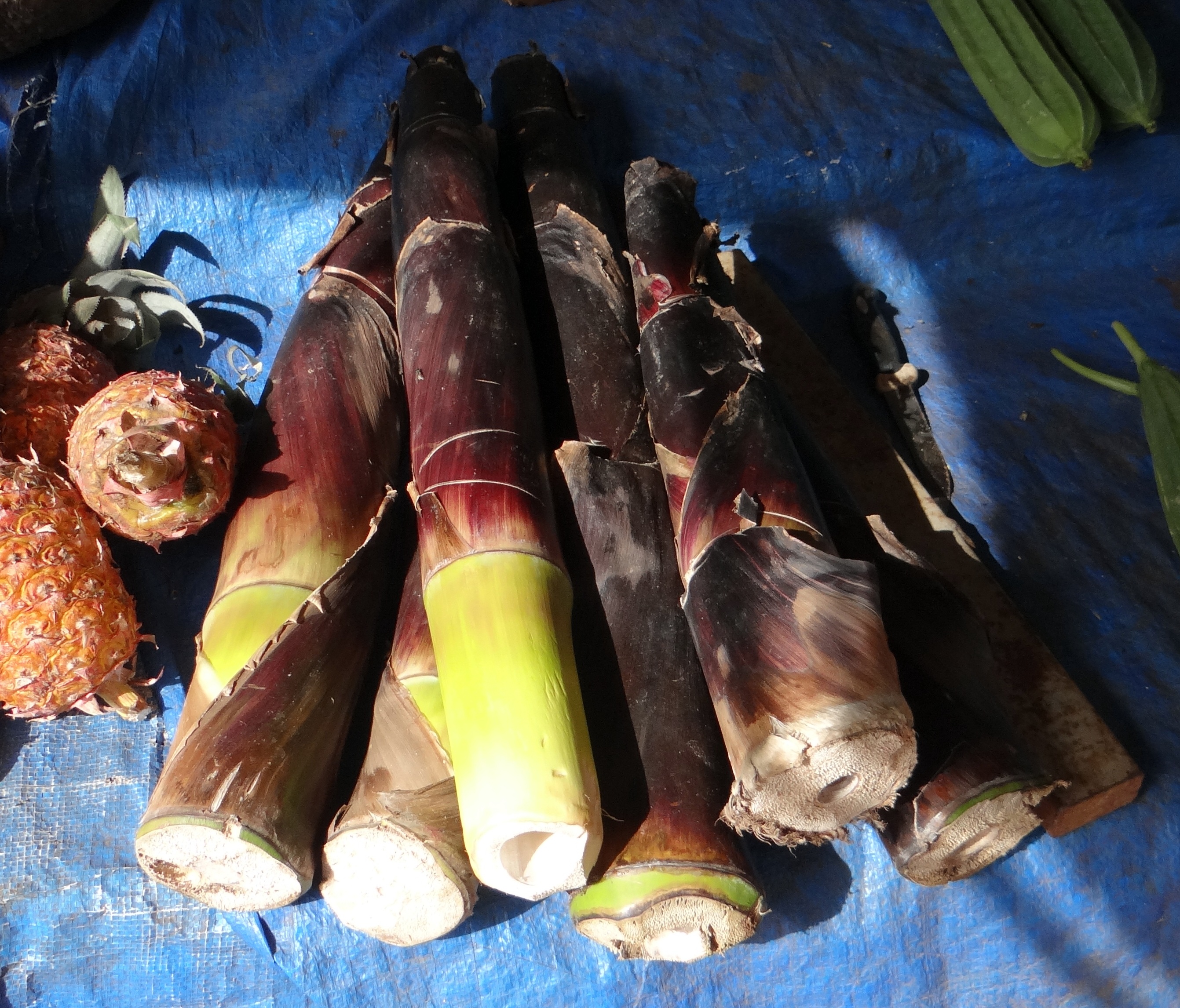 vertebrate, day, animal, freshness, india, fish, bamboo, raw food, blue, close-up, animal themes, healthy eating, stall, 2K, indoors, food and drink, goa, HD Wallpaper