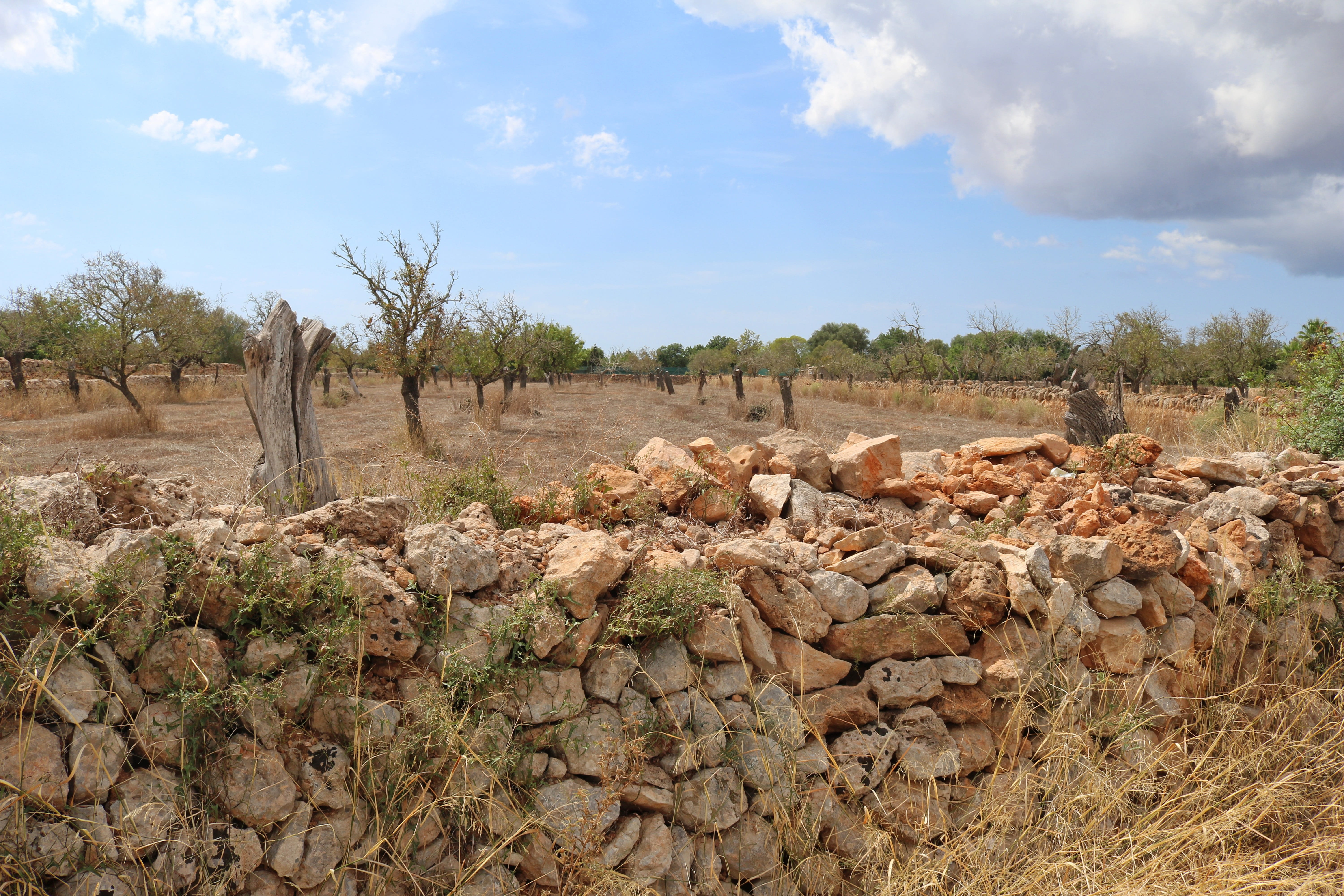 landscape, scenics - nature, balearic islands, spain, tranquil scene, rock, tree, rocky, wall, day, 5K, holiday, cloud - sky, mallorca, land, tanca wall, HD Wallpaper