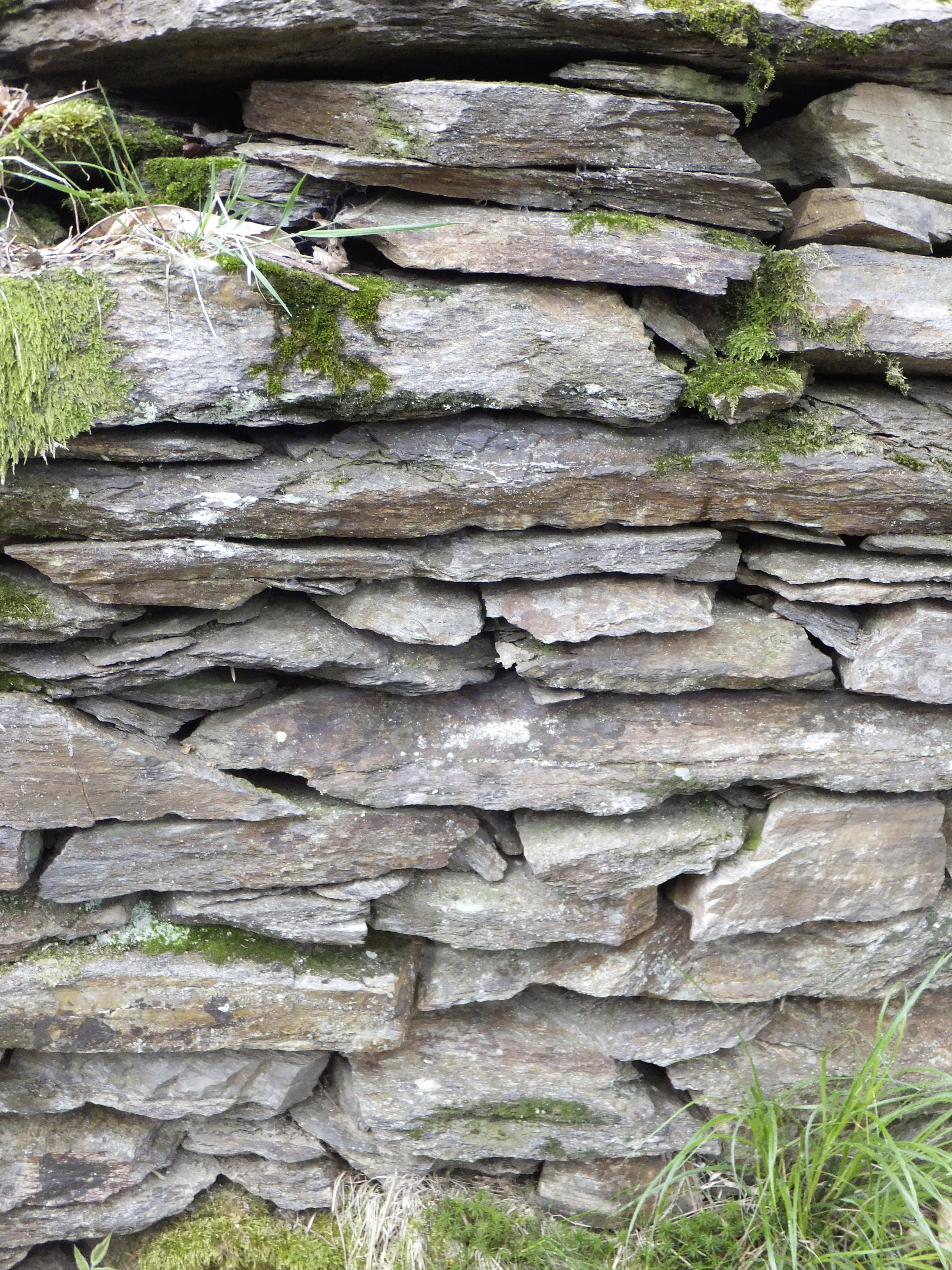 trunk, plant, stones, tree trunk, stacked, rough, wood - material, day, pattern, nature, no people, tree, full frame, wall, masonry, growth, backgrounds, Phone HD Wallpaper