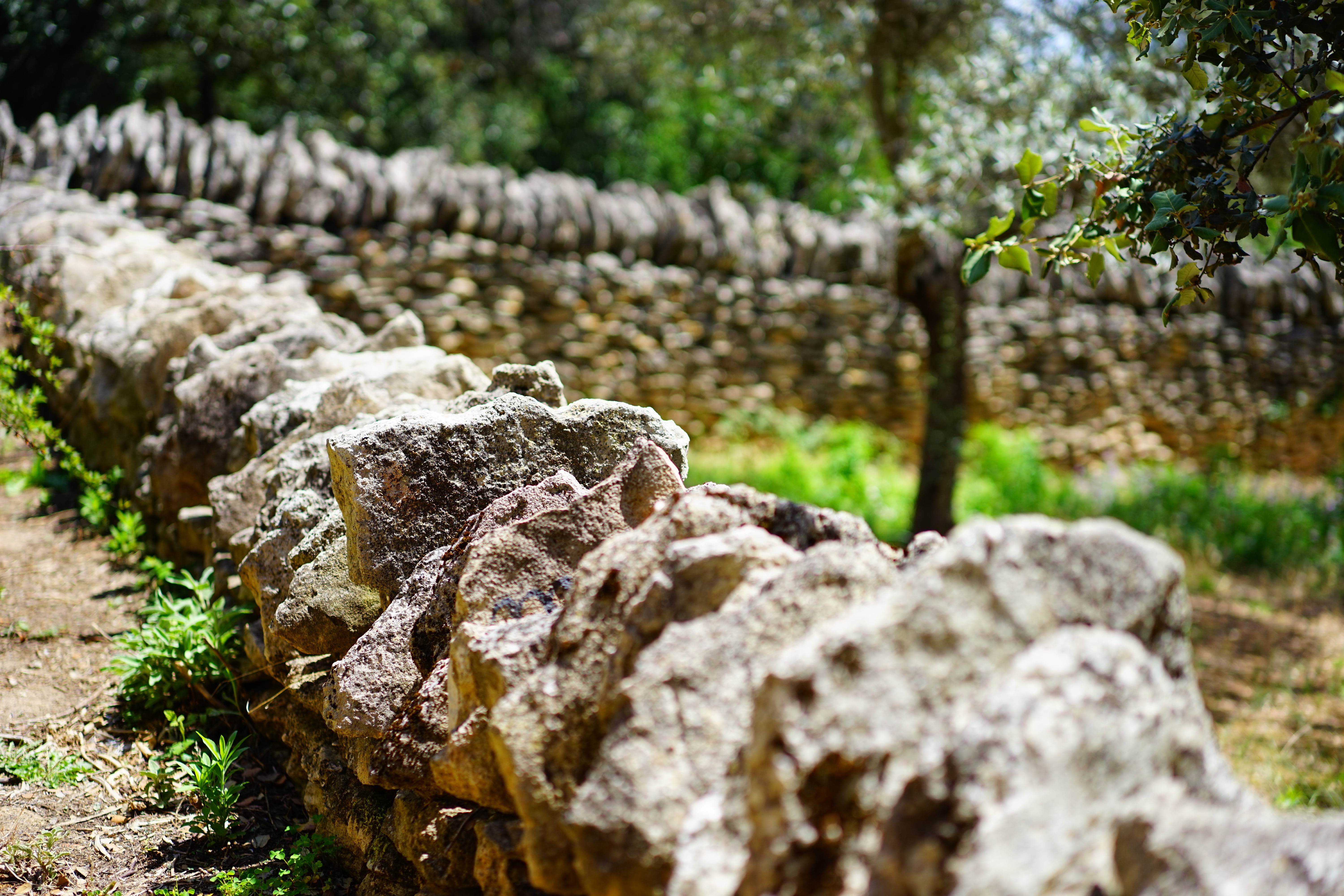 history, architecture, rocks, demarcation, museum, 5K, plant, selective, dry stone masonry, gordes, rock, tree, historic preservation, solid, open air museum, HD Wallpaper