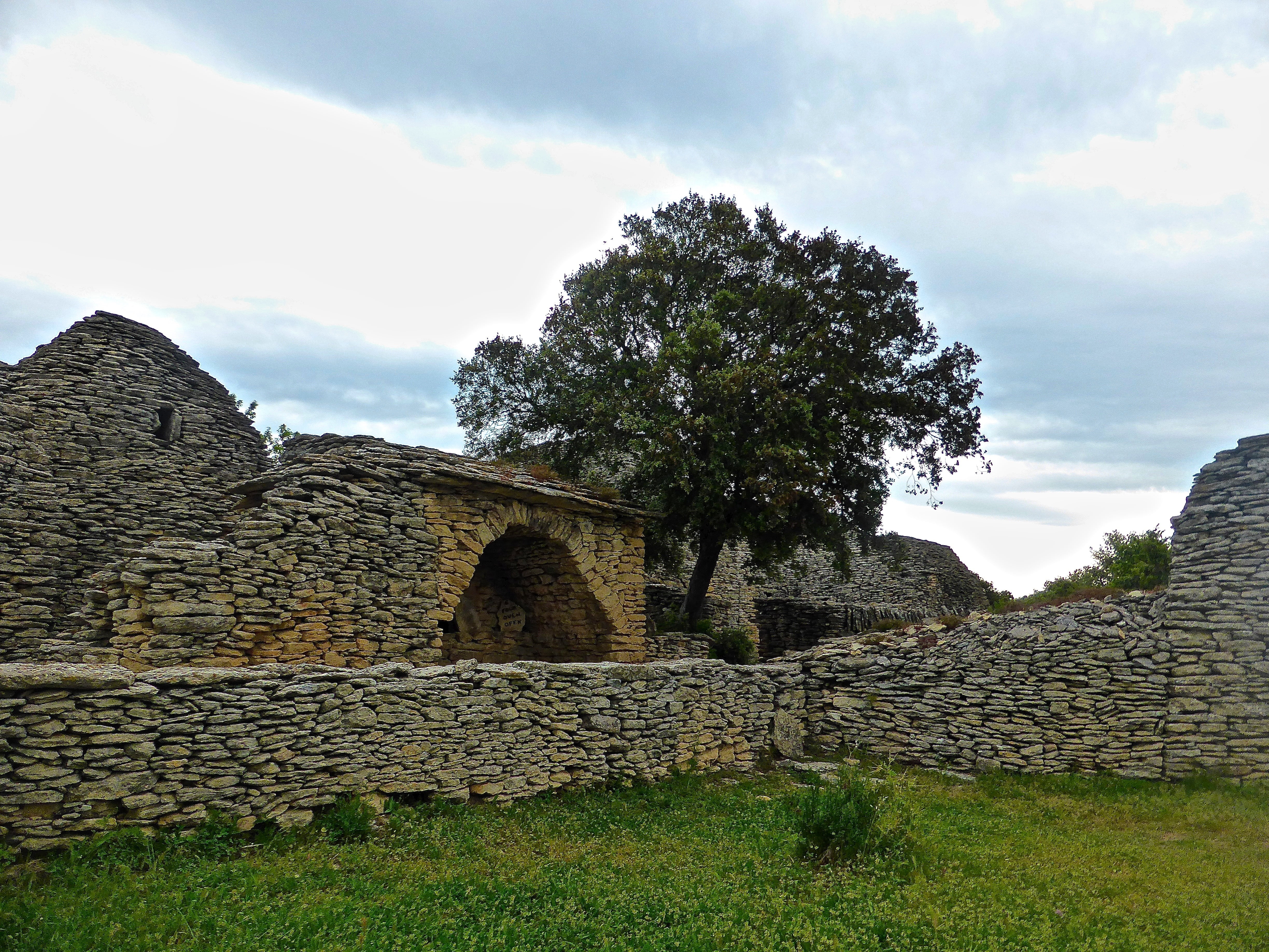 4K, plant, the past, ancient civilization, stone wall, history, outdoors, architecture, building construction, day, cloud - sky, tree, stone, ancient, HD Wallpaper