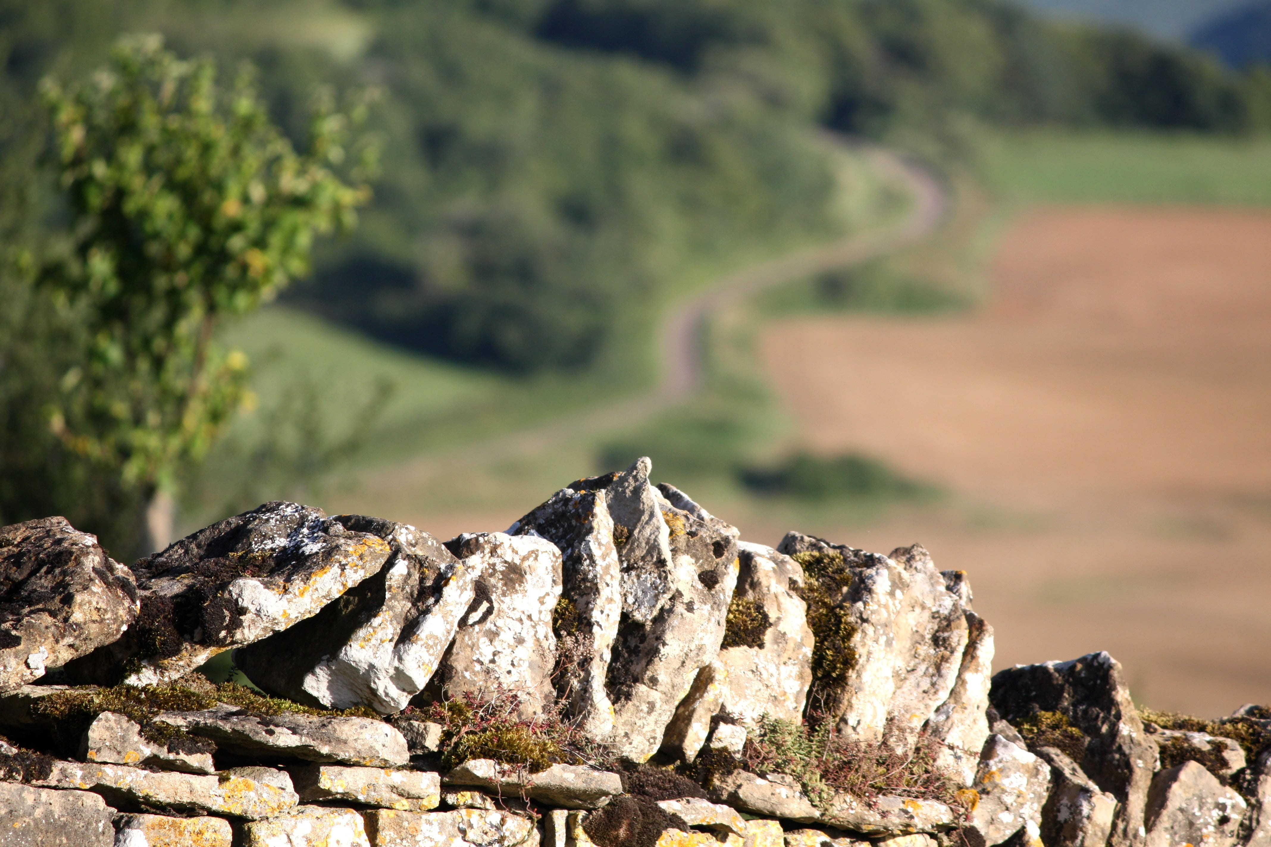 tranquil scene, stones, non-urban scene, rock - object, solid, plant, 4K, green color, scenics - nature, land, rock, burgundy, away, drywall, fields, beauty in nature, HD Wallpaper